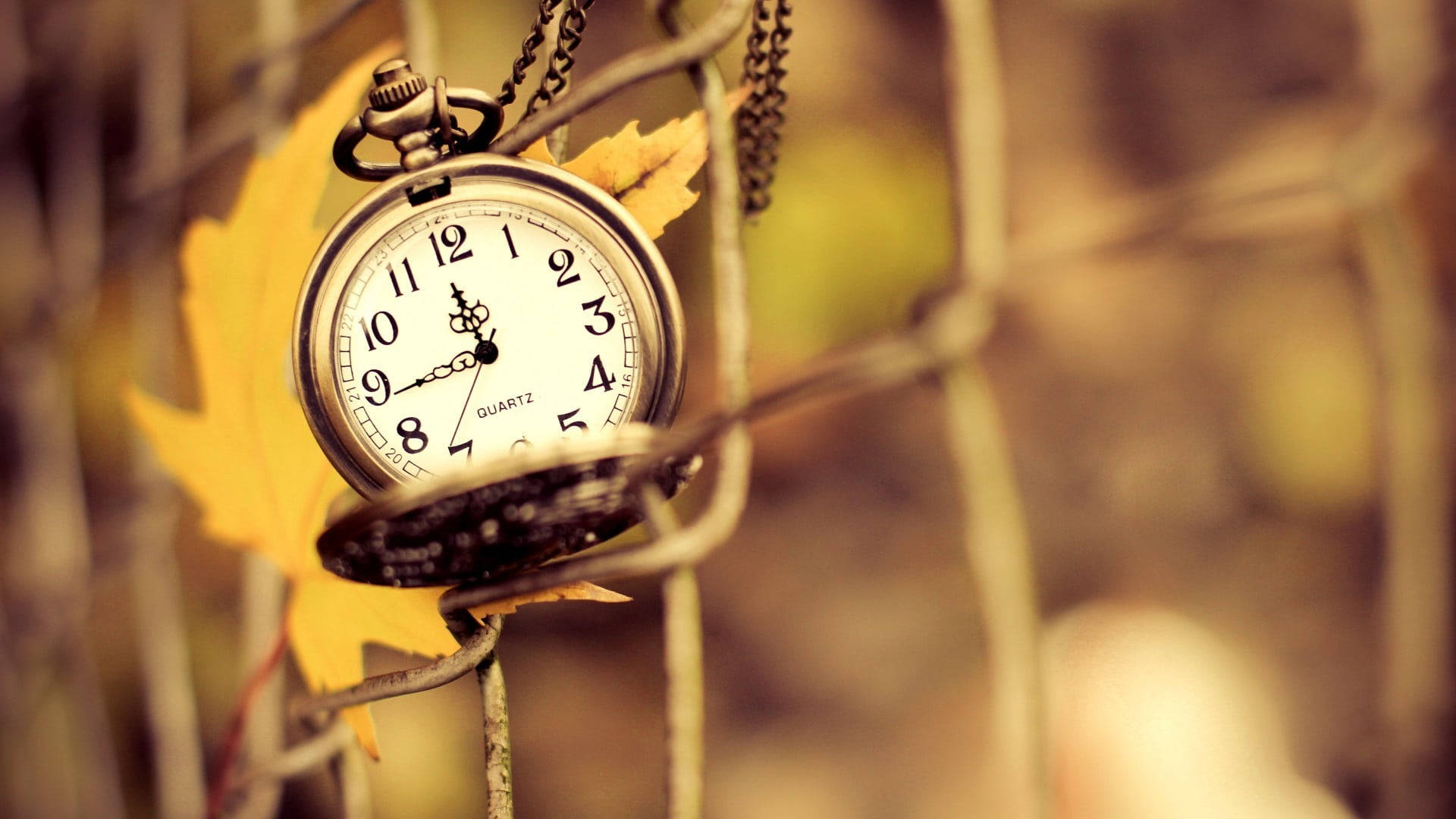 Clock 桌布 壁紙 — 一個復古懷錶掛在鏈條上，靠在鐵絲網圍欄旁，旁邊有一片黃色楓葉。