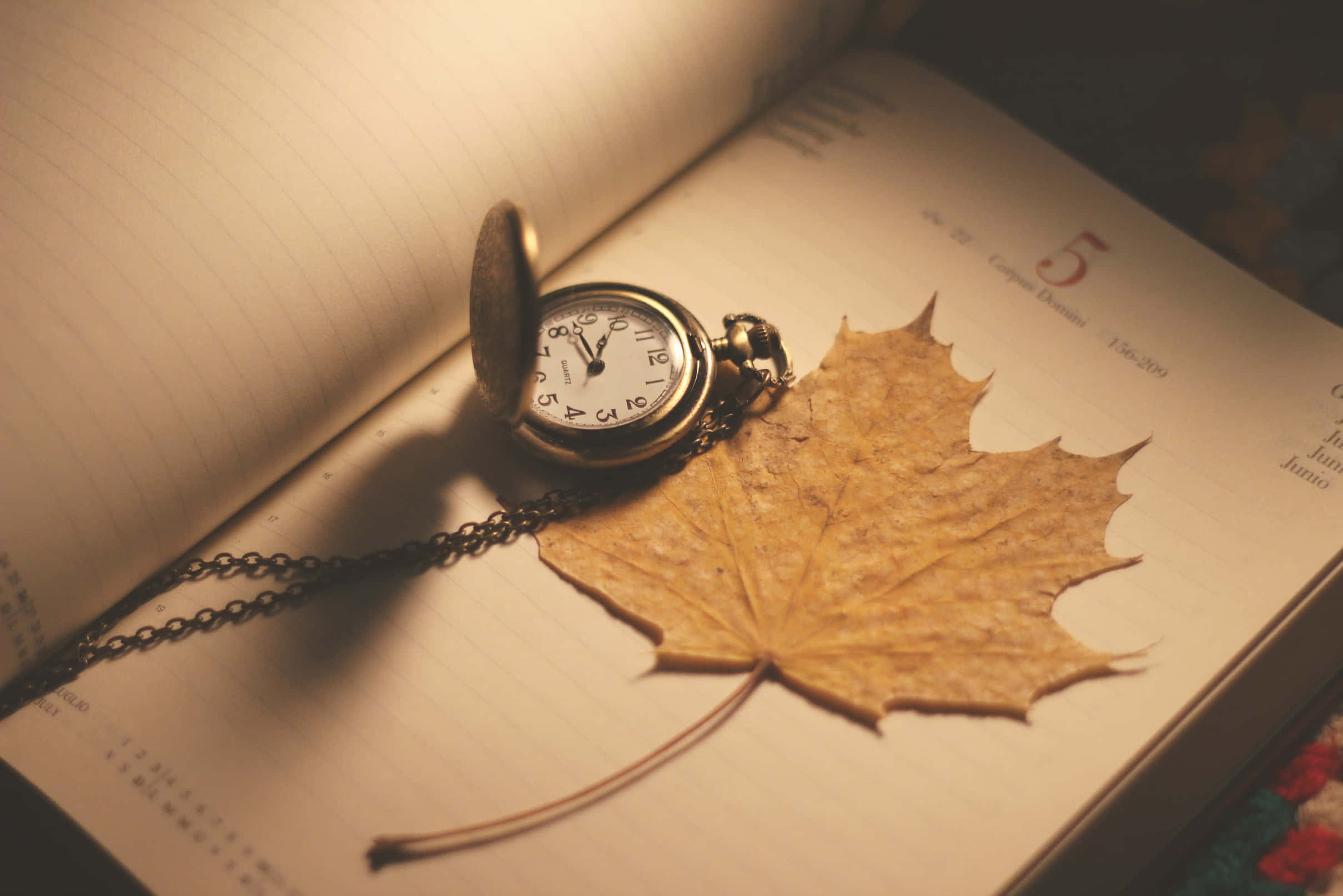 Diary 桌布 壁紙 — 一個復古懷錶放在一本打開的日記頁上，旁邊有一片乾燥的楓葉，沐浴在溫暖的金色光芒中。
