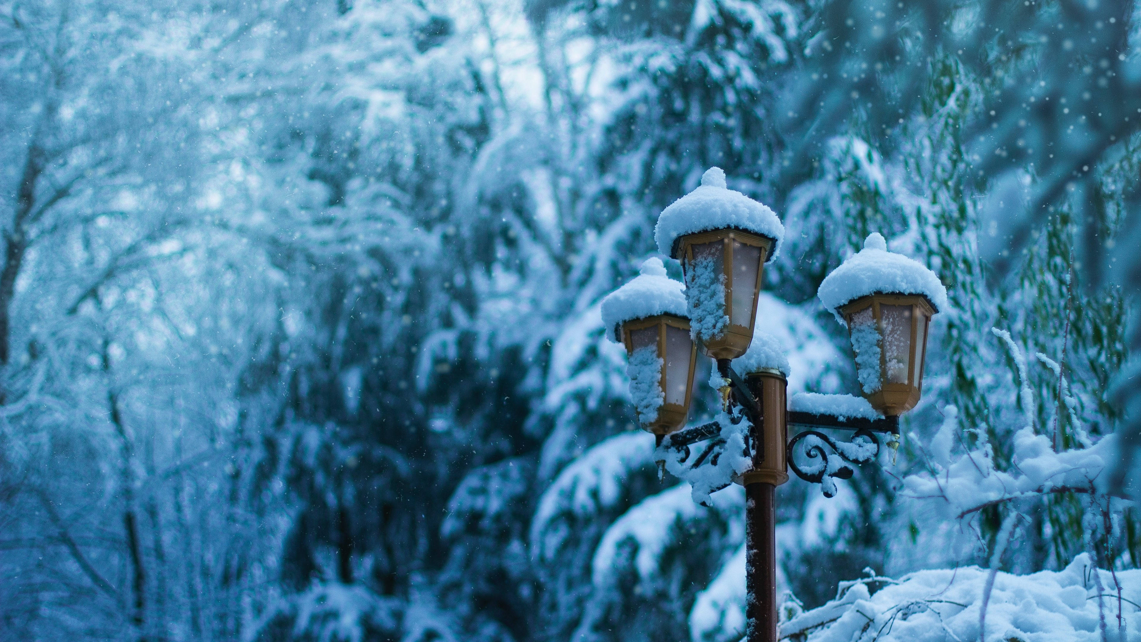 雪 桌布 壁紙 — 一個復古的雪覆蓋路燈矗立在寧靜的冬季森林中，雪花飄落，樹木呈現藍色調。