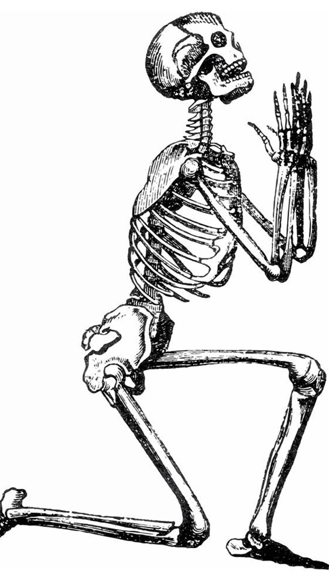Skeleton Meme 桌布 壁紙 — 一個復古雕刻的骷髏跪著祈禱，雙手合十，低頭表示莊嚴的敬意。