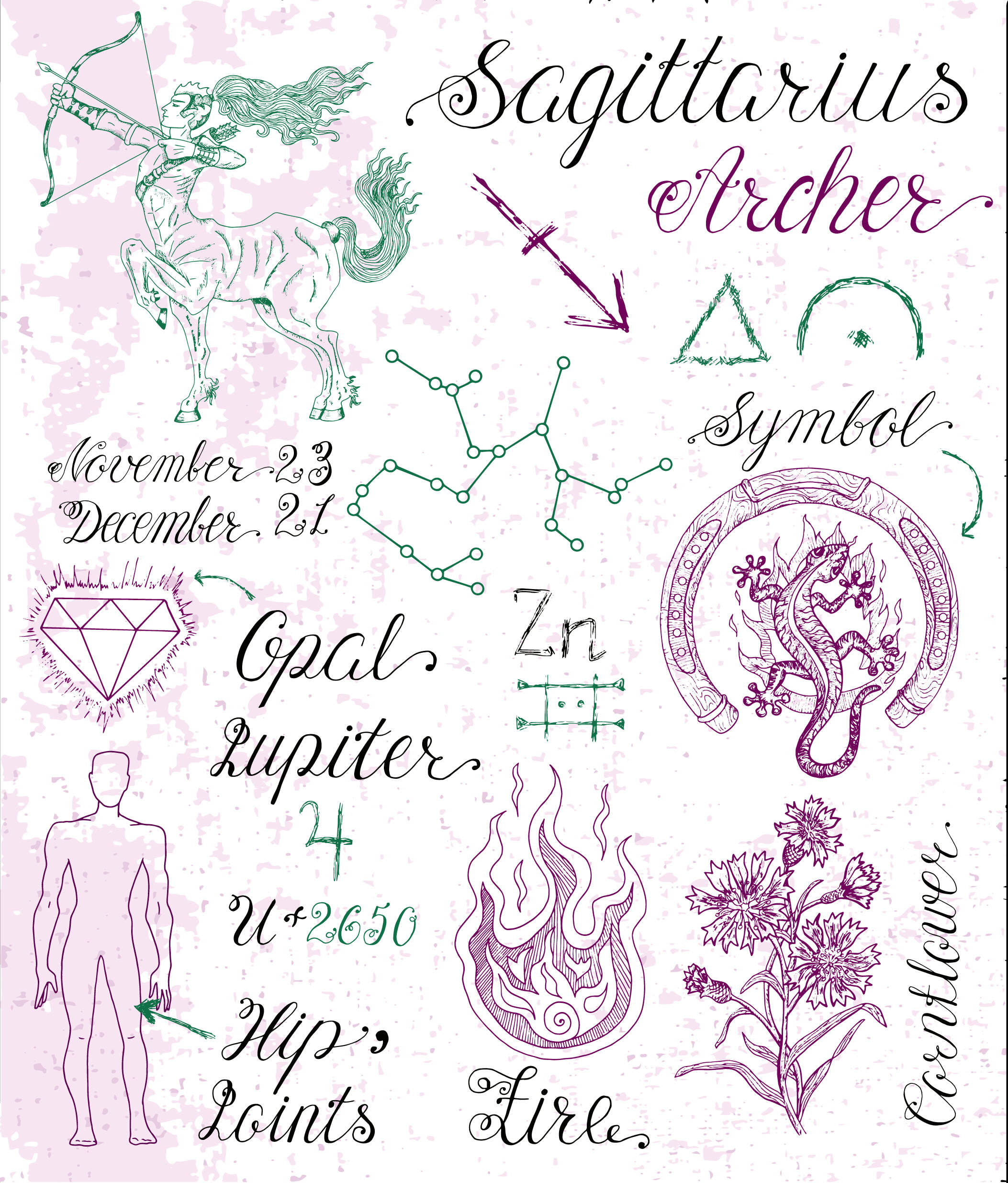 sagittarius 桌布 壁紙 — 一個復古風格的插圖占星圖表，用於射手座，特點包括弓箭手、星座、符號、寶石、行星、星座、花朵和身體部位。