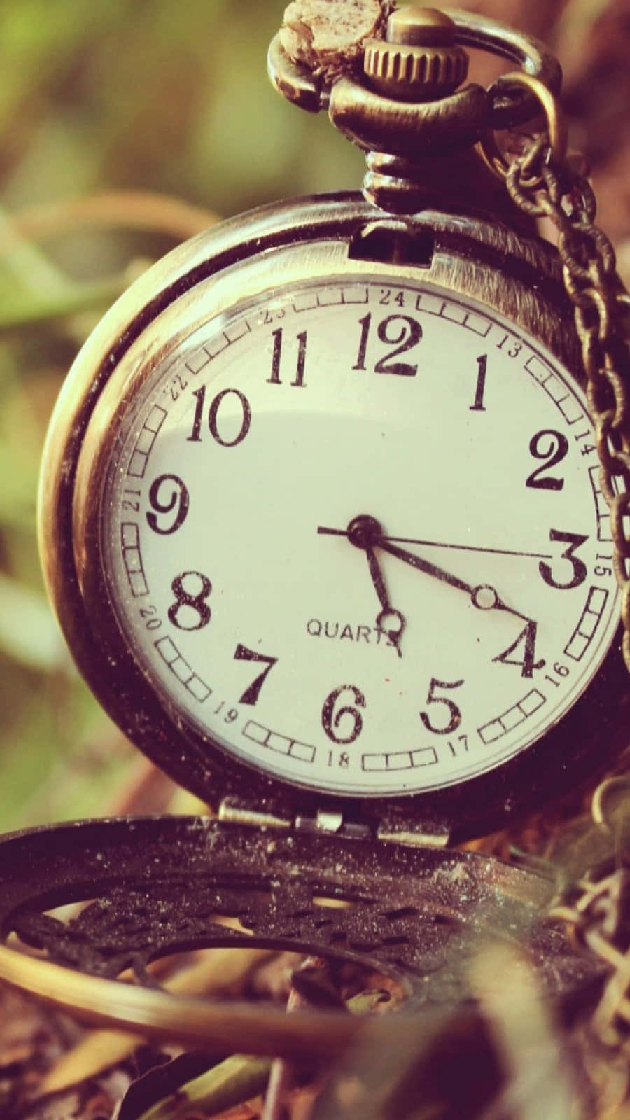 Time 桌布 壁紙 — 一個復古黃銅懷錶，白色錶盤敞開，置於模糊的綠葉中，指針指向4:20。