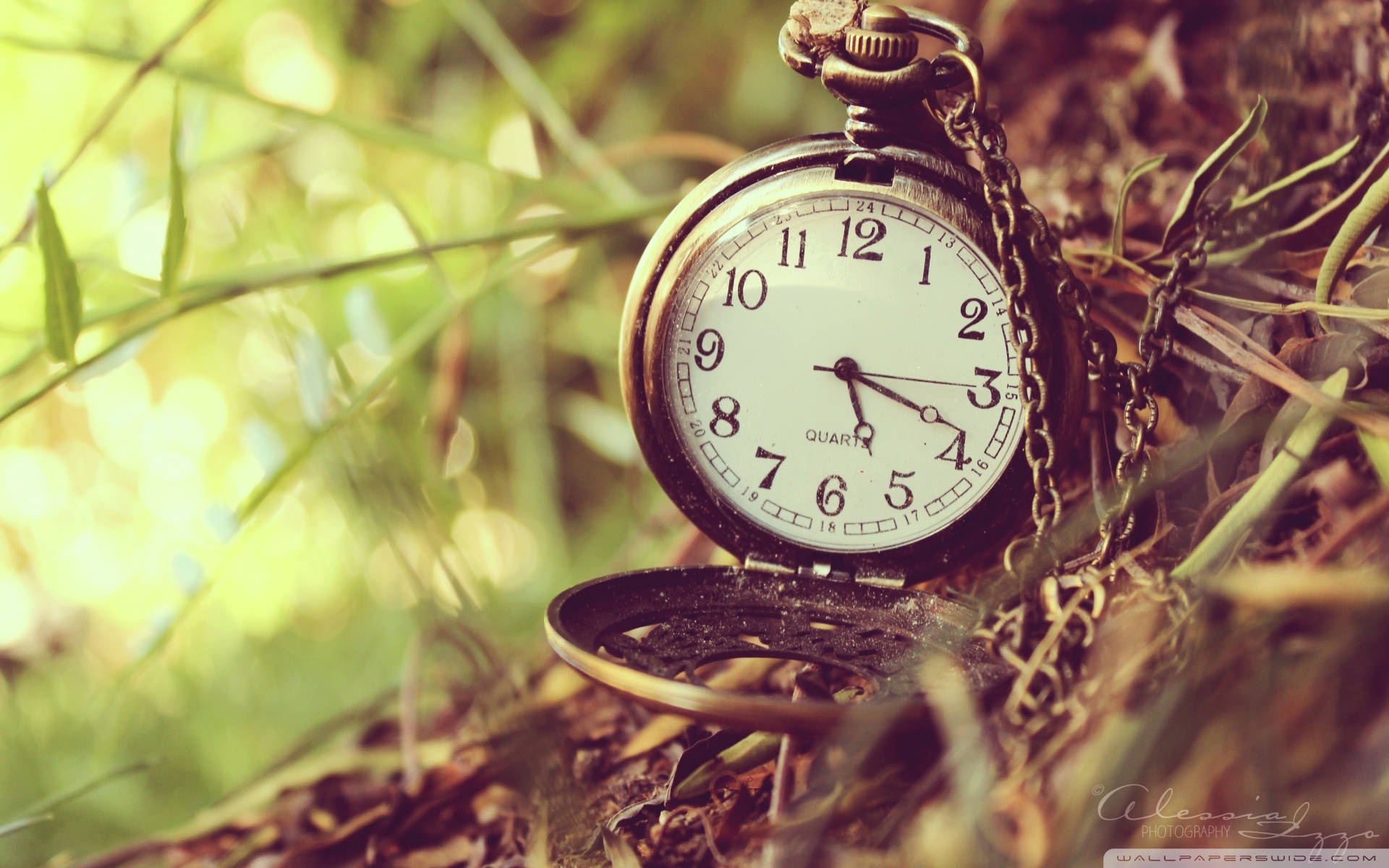 Time 桌布 壁紙 — 一個復古黃銅懷錶打開著，躺在陽光照射的草地和落葉中，景深較淺。