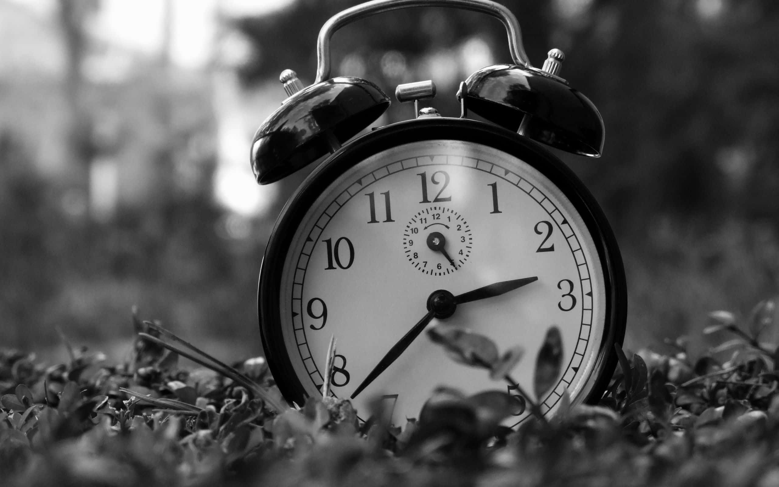 Clock 桌布 壁紙 — 一個復古黑色鬧鐘放在草地上，背後有模糊的樹葉，呈單色調。