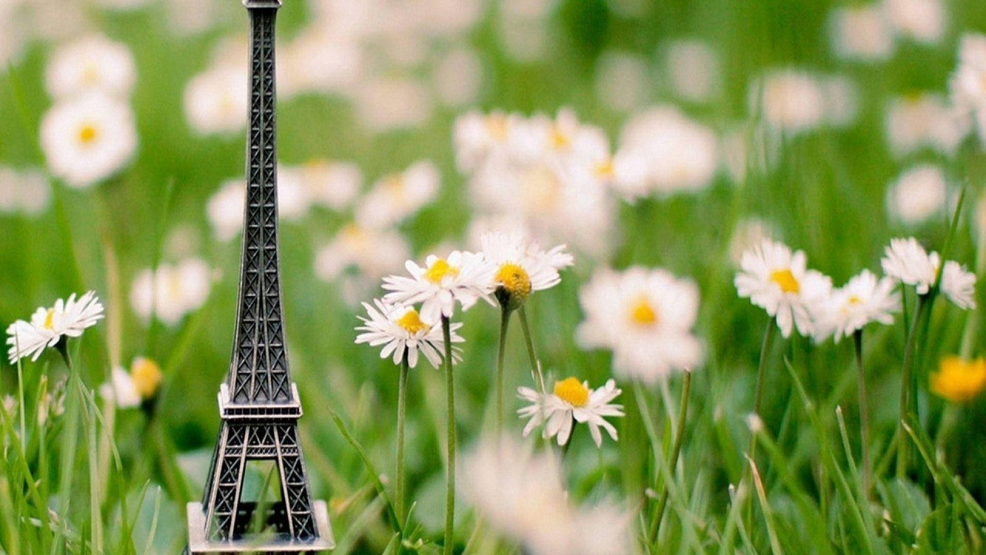 Eiffel Tower 桌布 壁紙 — 一個微型艾菲爾鐵塔矗立在白色雛菊和綠色草地的田野中，在柔和日光下。