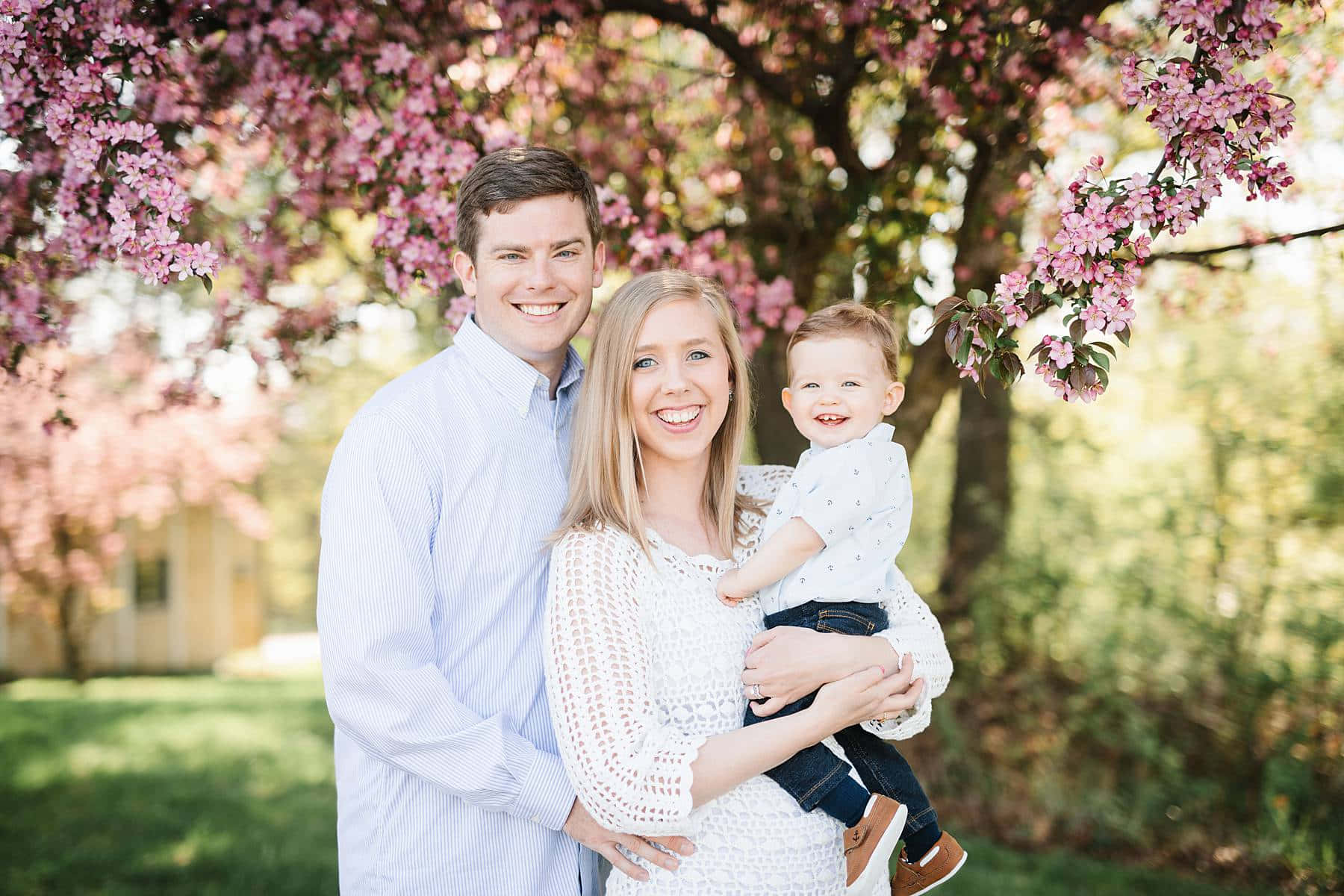 Spring Family 桌布 壁紙 — 一個微笑的三口之家在陽光明媚的日子裡，在盛開的粉紅色櫻花樹下擺姿勢。