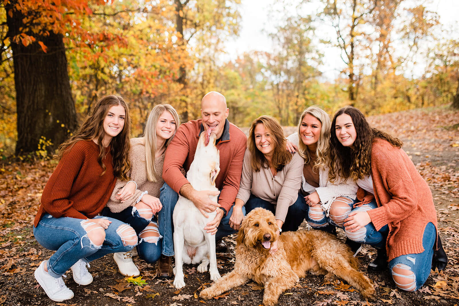 Fall Family 桌布 壁紙 — 一個微笑的六口之家與兩隻狗在柔和的金色光線下，在充滿活力的秋葉中擺姿勢。