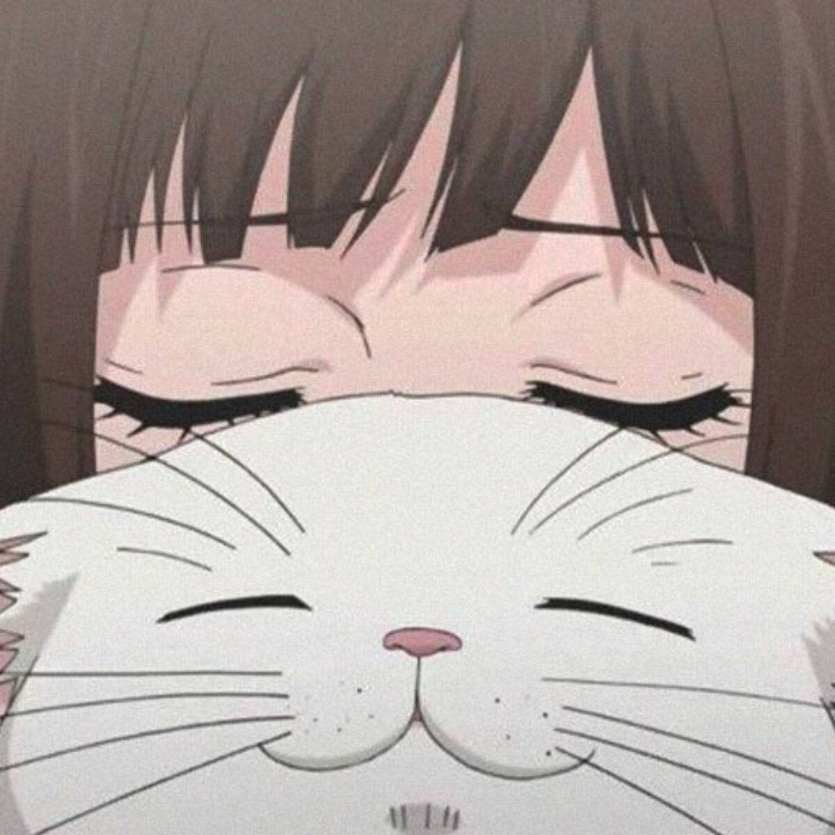 動漫女孩 桌布 壁紙 — 一個微笑的動漫女孩在溫柔的時刻擁抱一隻閉著眼睛的滿足白貓。