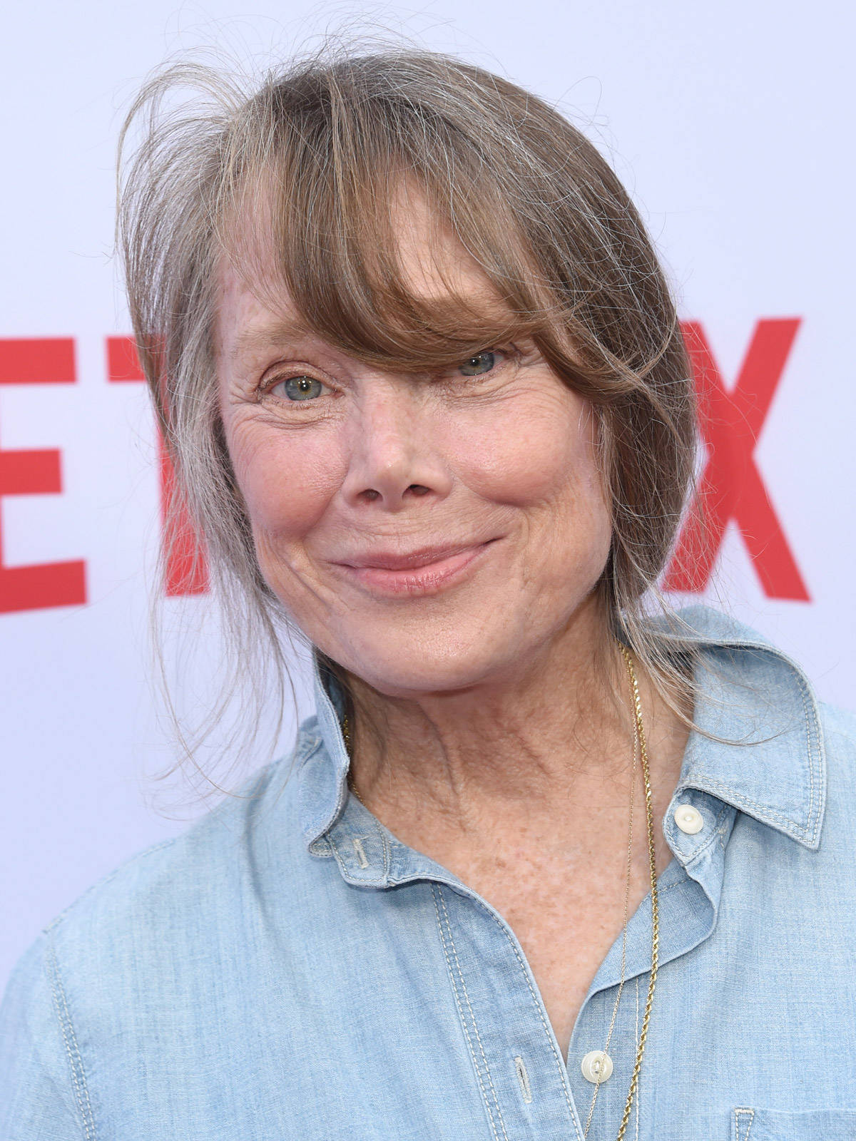 Netflix 桌布 壁紙 — 一個微笑的女人近距離肖像，灰棕色頭髮，穿著淺藍色牛仔襯衫，背景為白色，帶有紅色Netflix字母。