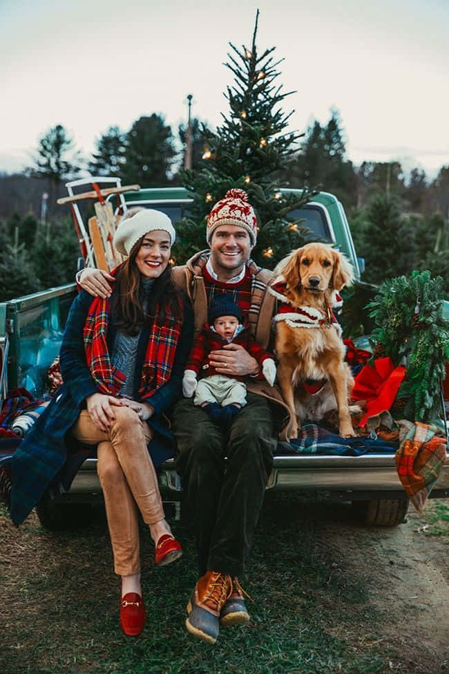 Family Christmas 桌布 壁紙 — 一個微笑的家庭和一隻金毛尋回犬坐在小型貨車的後座，在黃昏時舉著剛砍下的聖誕樹。