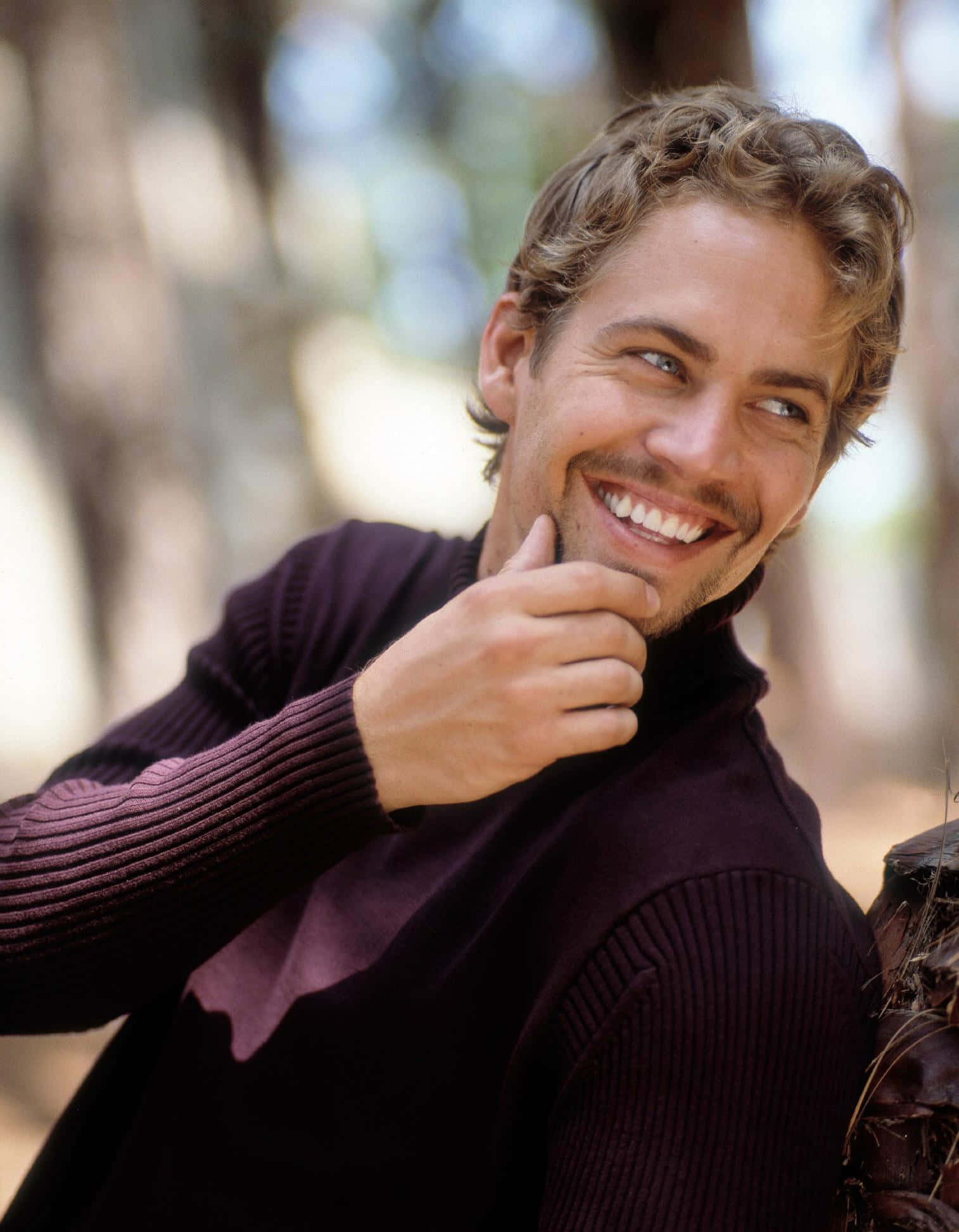 Paul Walker 桌布 壁紙 — 一個微笑的男人穿著深色毛衣，在陽光明媚的森林裡靠著樹，拇指托著下巴。
