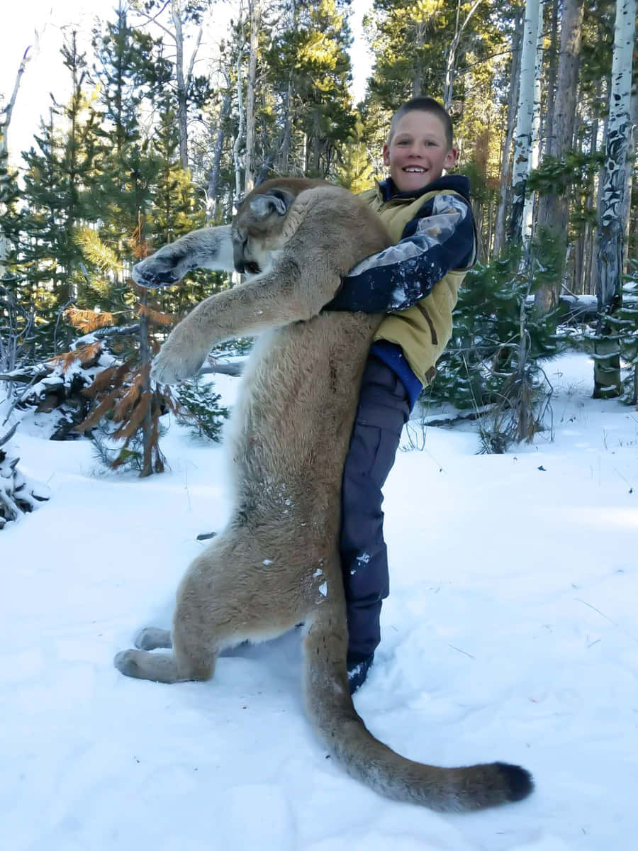 動物 桌布 壁紙 — 一個微笑的男孩在雪地森林中擁抱一隻大型美洲獅，周圍是白雪覆蓋的樹木和明亮的陽光。