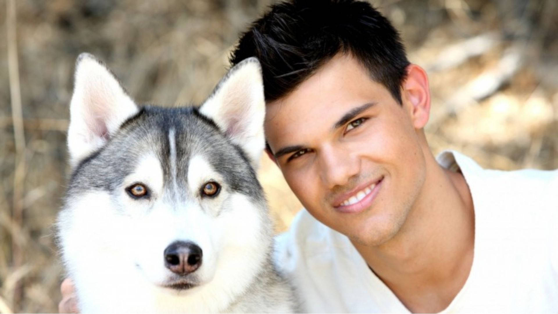 Taylor Lautner 桌布 壁紙 — 一個微笑的白襯衫男子擁抱一隻擁有驚人琥珀色眼睛的西伯利亞雪橇犬，背景是模糊的自然景色。