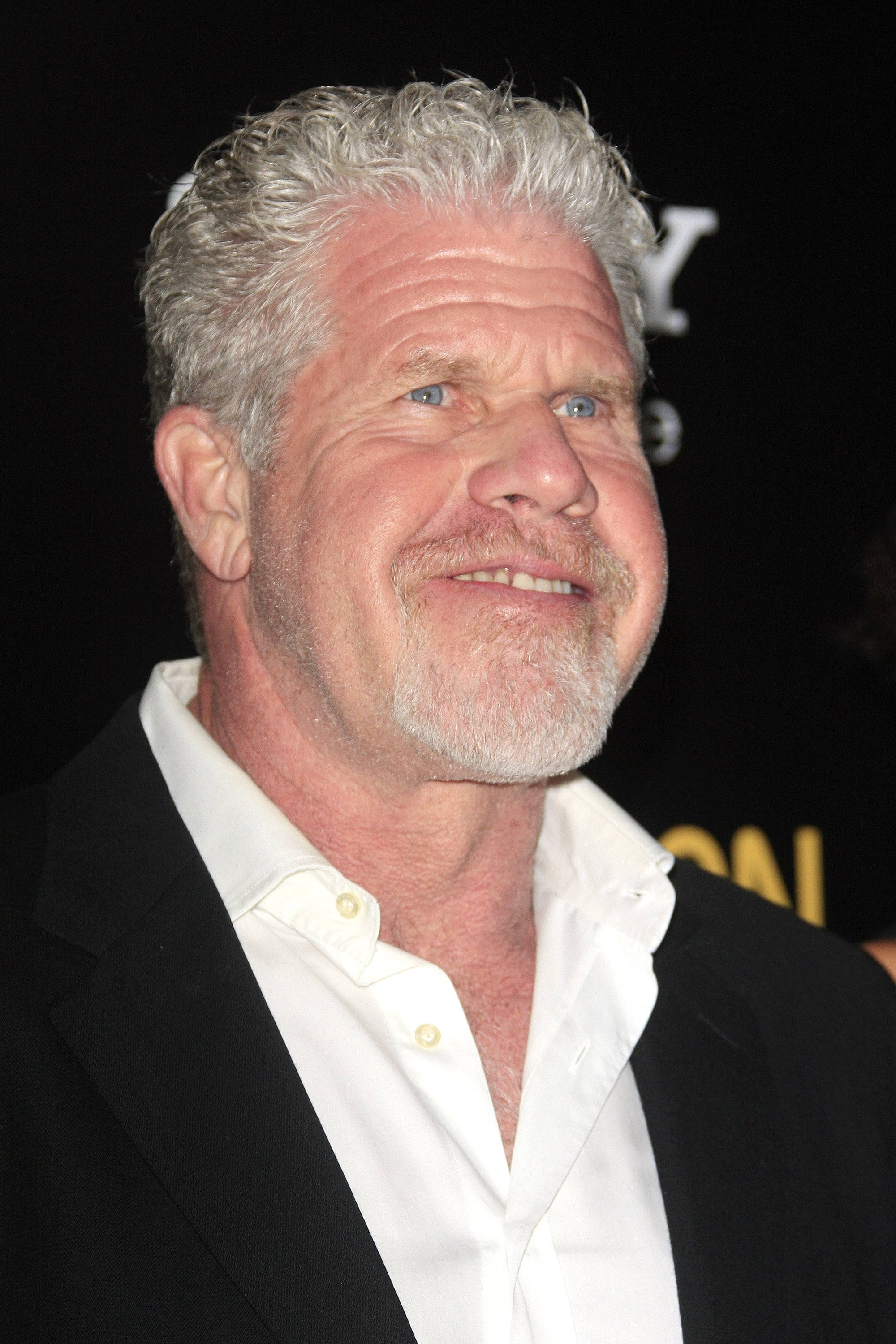 Celebrity 桌布 壁紙 — 一個微笑的白髮鬍鬚男士穿著黑色西裝和白色襯衫，在深色背景下的特寫肖像。