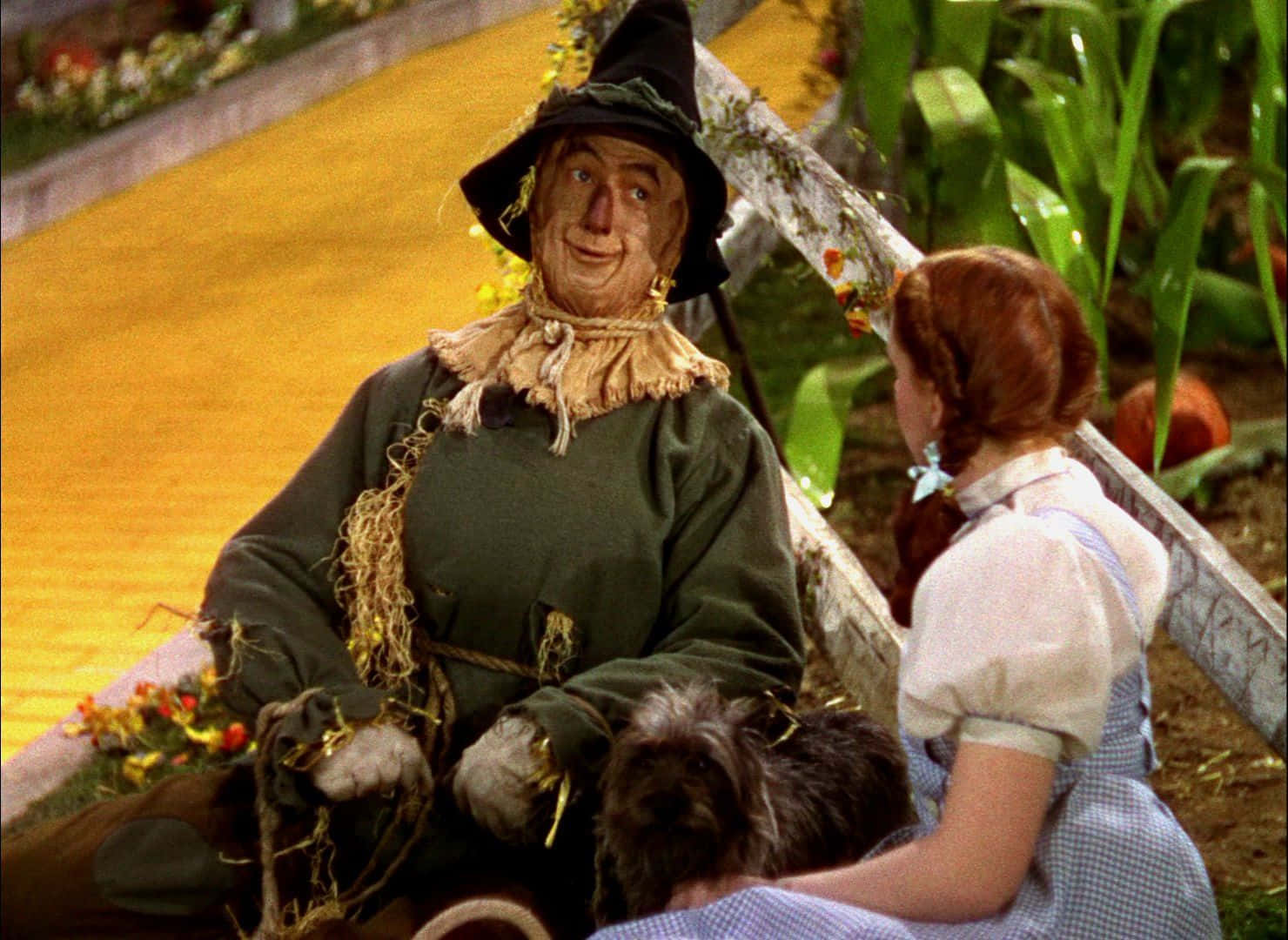 wizard of oz 桌布 壁紙 — 一個微笑的稻草人穿著綠色外套和黑色帽子，坐在一個穿著格子裙的小女孩旁邊，在黃磚路上，周圍是玉米稈。