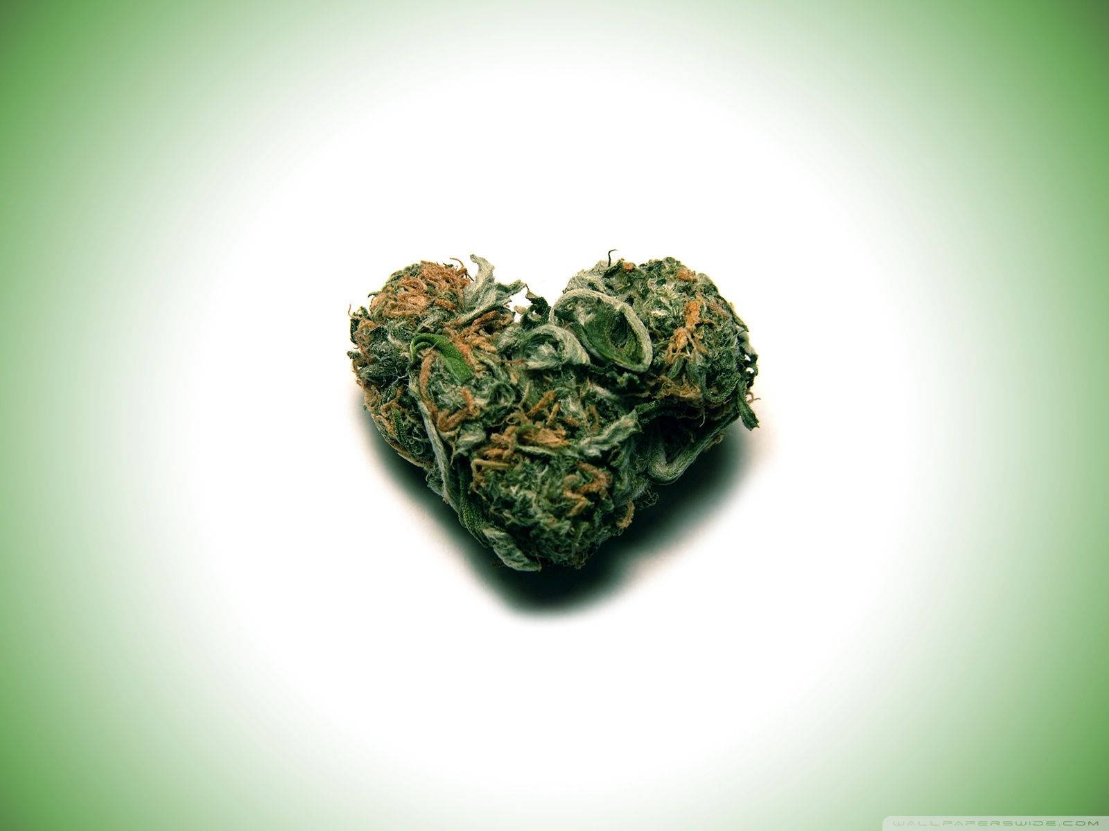大麻 桌布 壁紙 — 一個心形大麻花蕾，帶有綠色葉子和橙色雌蕊，位於柔和的綠色漸變背景中央。