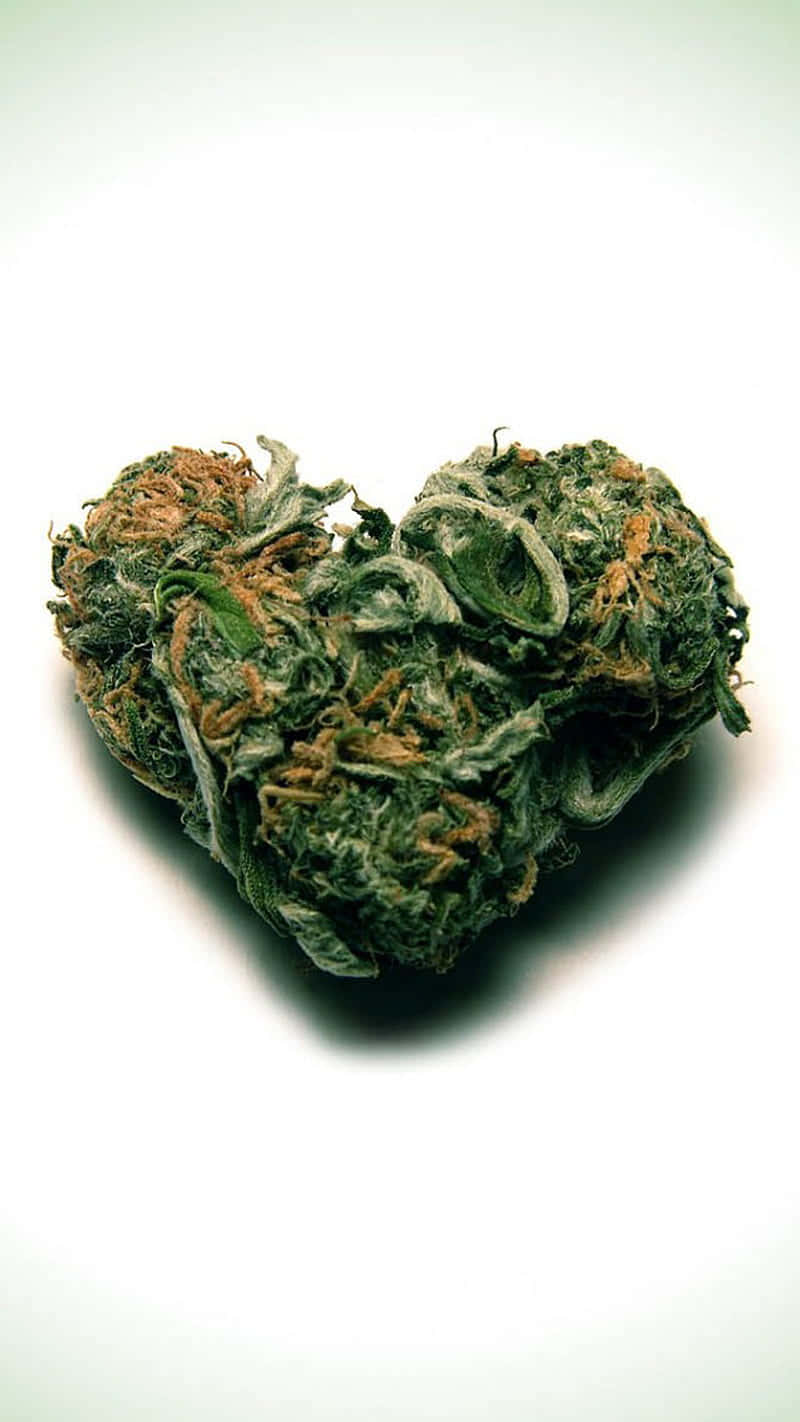 心形大麻花蕾，綠色葉片，琥珀色腺毛，白色背景 — 大麻 壁紙