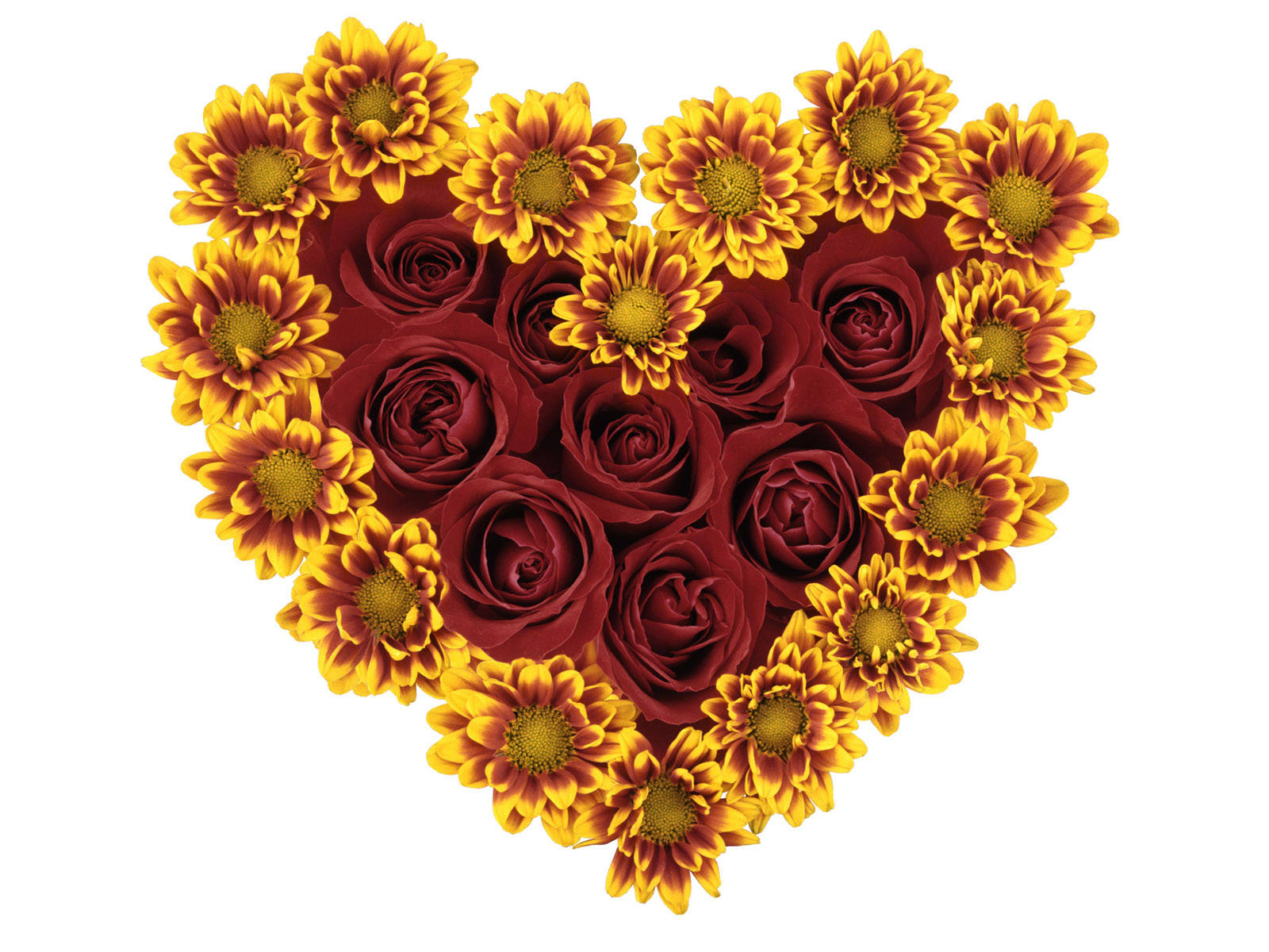 Valentines 桌布 壁紙 — 一個心形花卉佈置，由深紅玫瑰和鮮黃雛菊組成，背景為純白色。