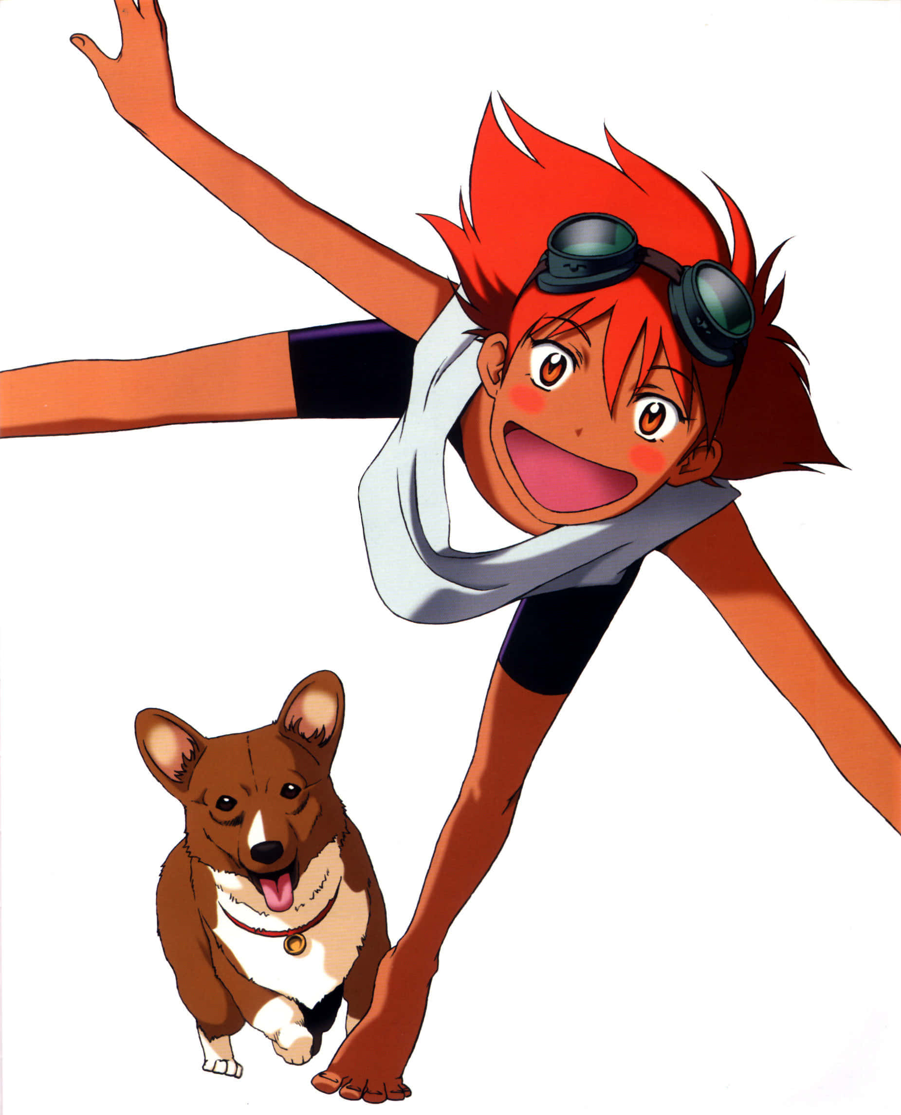 Cowboy Bebop Edward 桌布 壁紙 — 一個快樂的動漫女孩，紅髮戴護目鏡，在純白背景上頑皮地撲向一隻快樂的柯基犬。