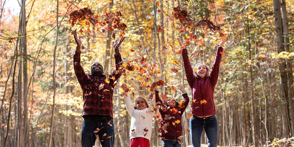 Fall Family 桌布 壁紙 — 一個快樂的四口之家在陽光普照、金色樹葉的森林中將秋天的樹葉拋向空中。