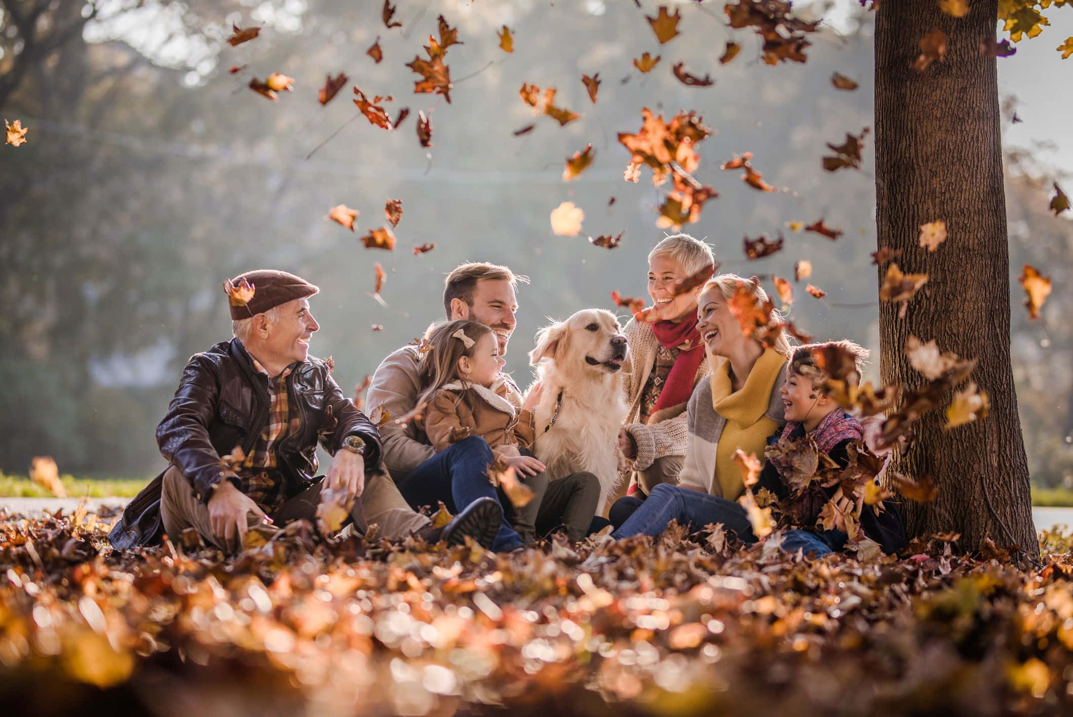 Fall Family 桌布 壁紙 — 一個快樂的多代家庭和一隻金毛尋回犬在樹下一起大笑，金黃色的陽光中秋葉在他們周圍旋轉。