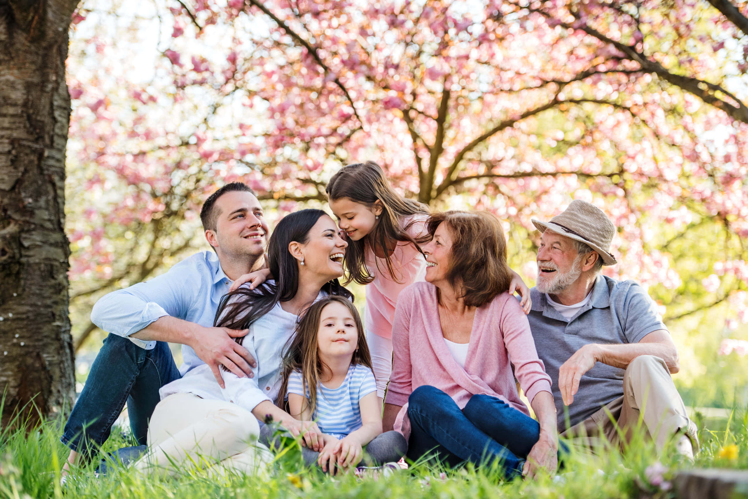 Spring Family 桌布 壁紙 — 一個快樂的多代家庭在陽光明媚的日子裡，在盛開的粉紅色櫻花樹下一起大笑。