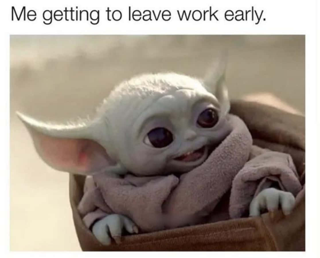 Memes Pics Funny 桌布 壁紙 — 一個快樂的嬰兒尤達包裹在柔軟的毯子裡，從籃子裡幸福地微笑。