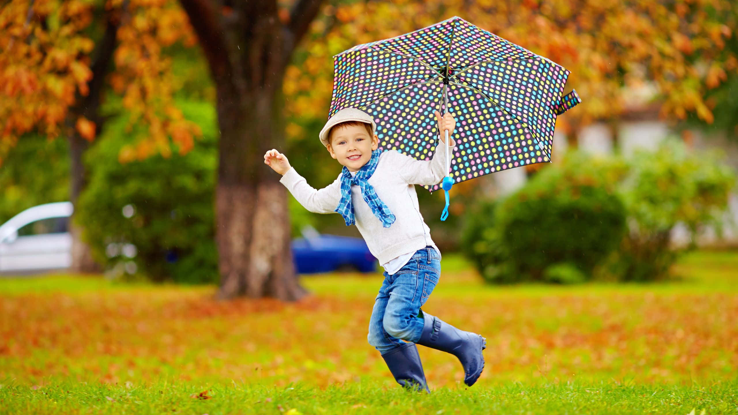 Fall Season 桌布 壁紙 — 一個快樂的孩子穿著藍色靴子和帽子，在秋雨中拿著彩色圓點雨傘跑過草地公園。
