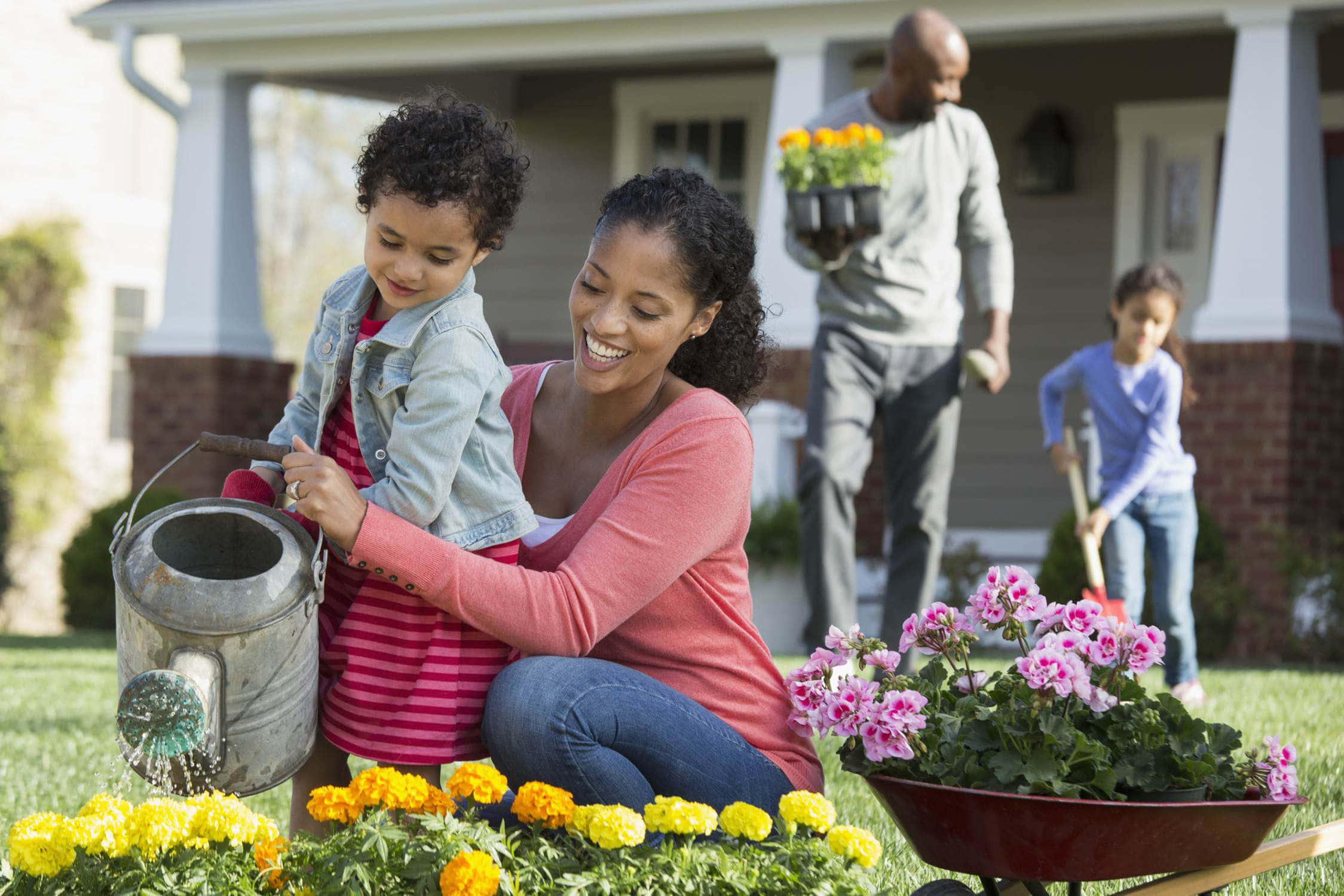 Spring Family 桌布 壁紙 — 一個快樂的家庭在前院一起園藝，周圍有鮮豔的花朵和一輛裝滿鮮花的手推車。
