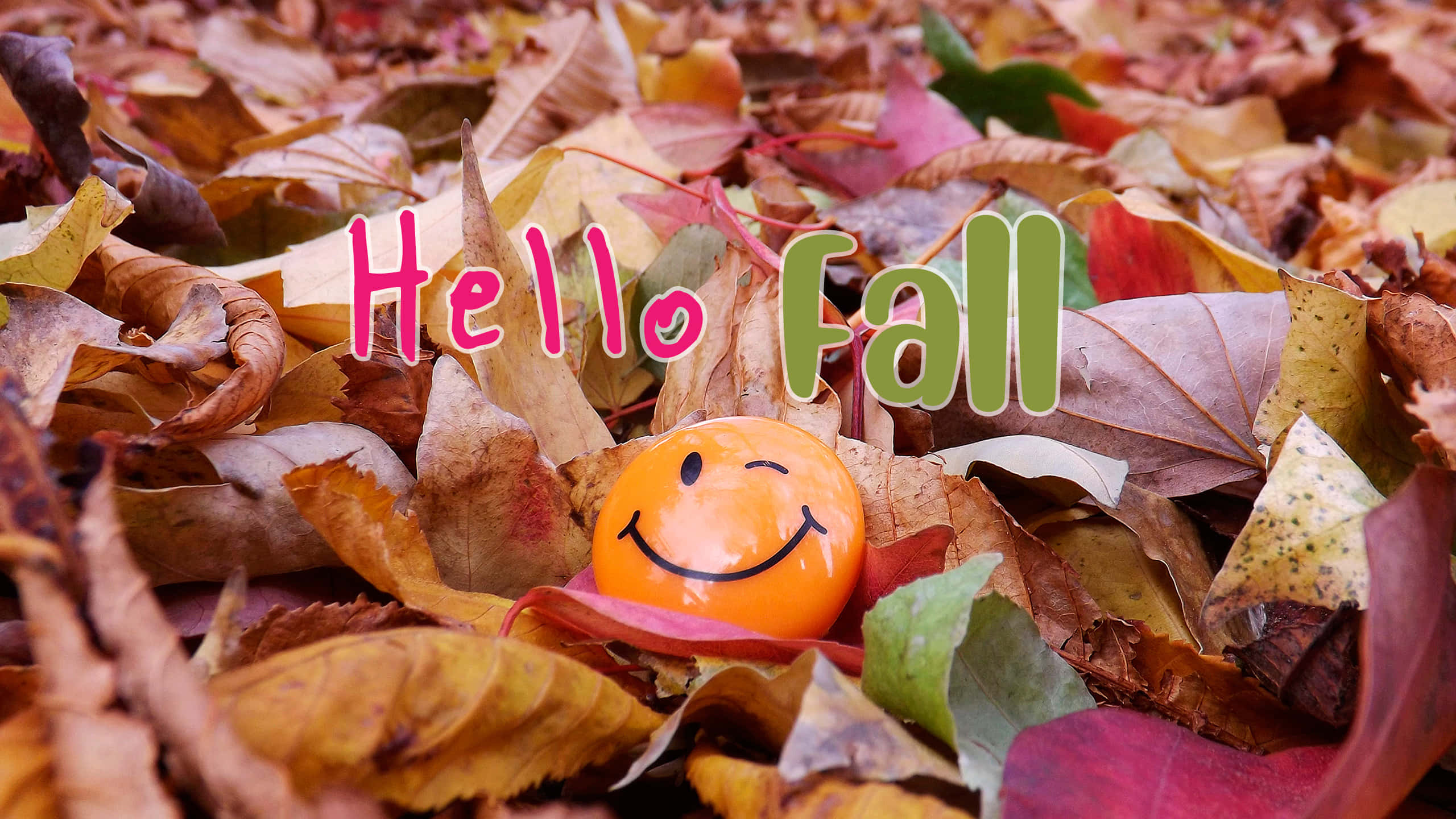 Hello Fall 桌布 壁紙 — 一個快樂的橙色笑臉球藏在充滿活力的秋葉中，並帶有「Hello Fall」文字。