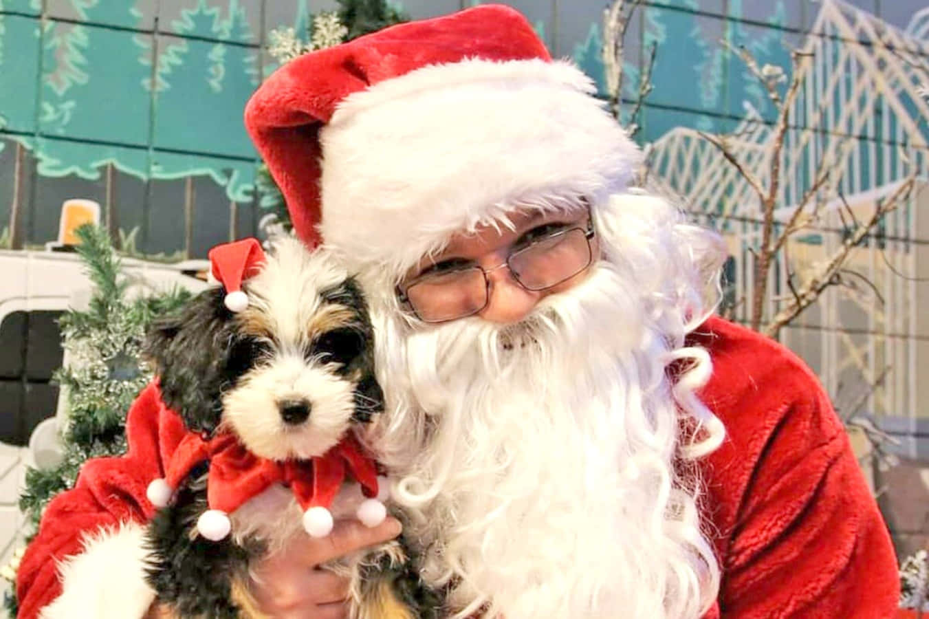 Santa Claus 桌布 壁紙 — 一個快樂的男人打扮成聖誕老人，抱著一隻戴著紅色聖誕帽和圍巾的小狗。