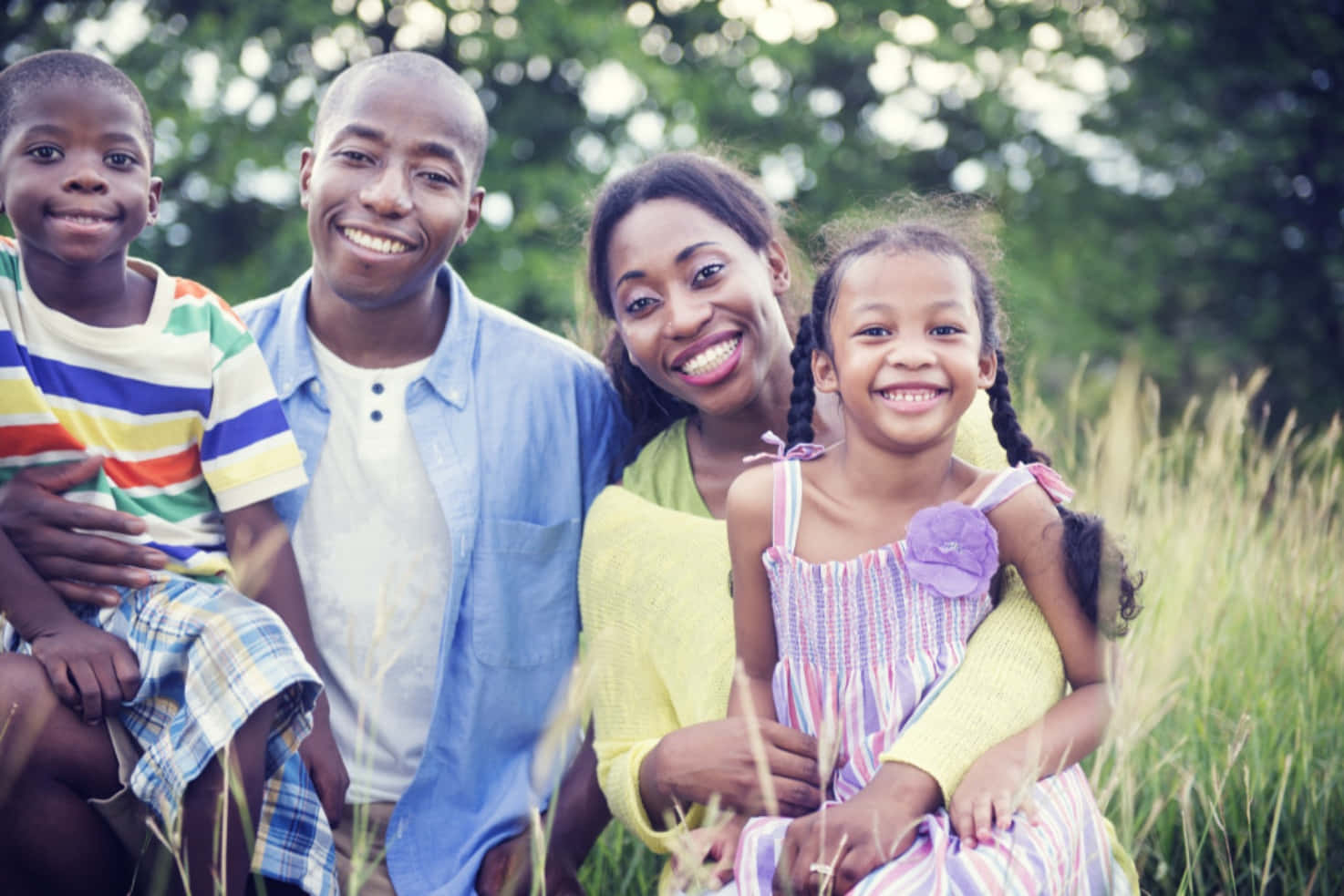 Black Family 桌布 壁紙 — 一個快樂的非裔美國人四口之家在陽光明媚的高草叢中一起微笑。