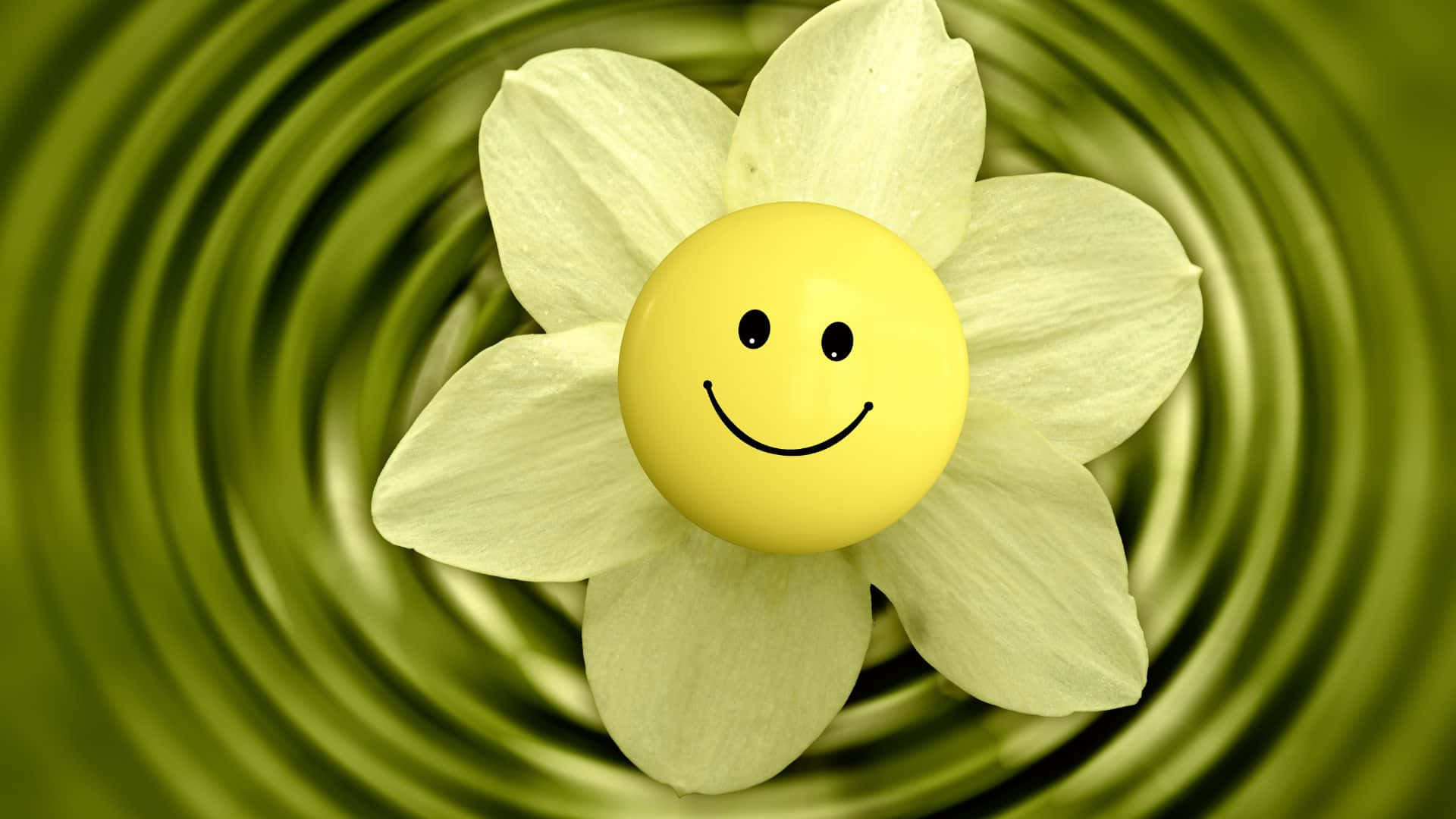 Smiley 桌布 壁紙 — 一個快樂的黃色笑臉取代了白色水仙花的中心，背景是旋轉的綠色。