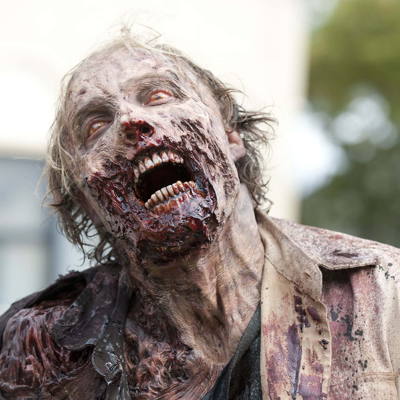 Scary Zombie 桌布 壁紙 — 一個恐怖殭屍的特寫，牙齒沾滿血跡，腐爛的肉在日光下尖叫。