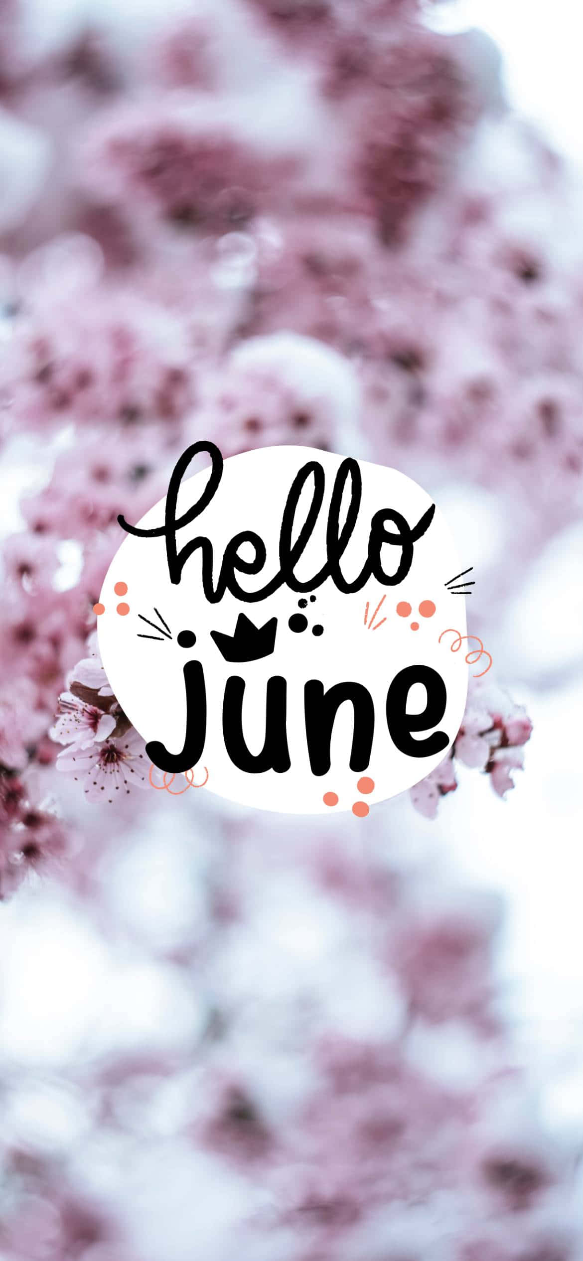 Flowers 桌布 壁紙 — 一個愉快的 'hello june' 文字圖形，背景是柔焦的粉紅櫻花。