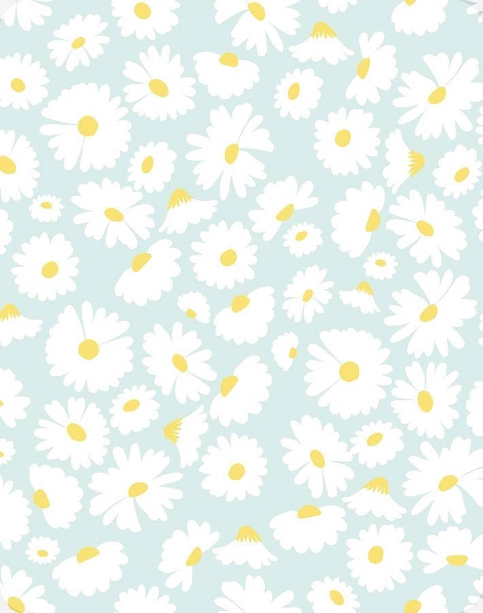 Cute Spring 桌布 壁紙 — 一個愉快的圖案，白色雛菊帶黃色中心散佈在柔和的薄荷綠色背景上。