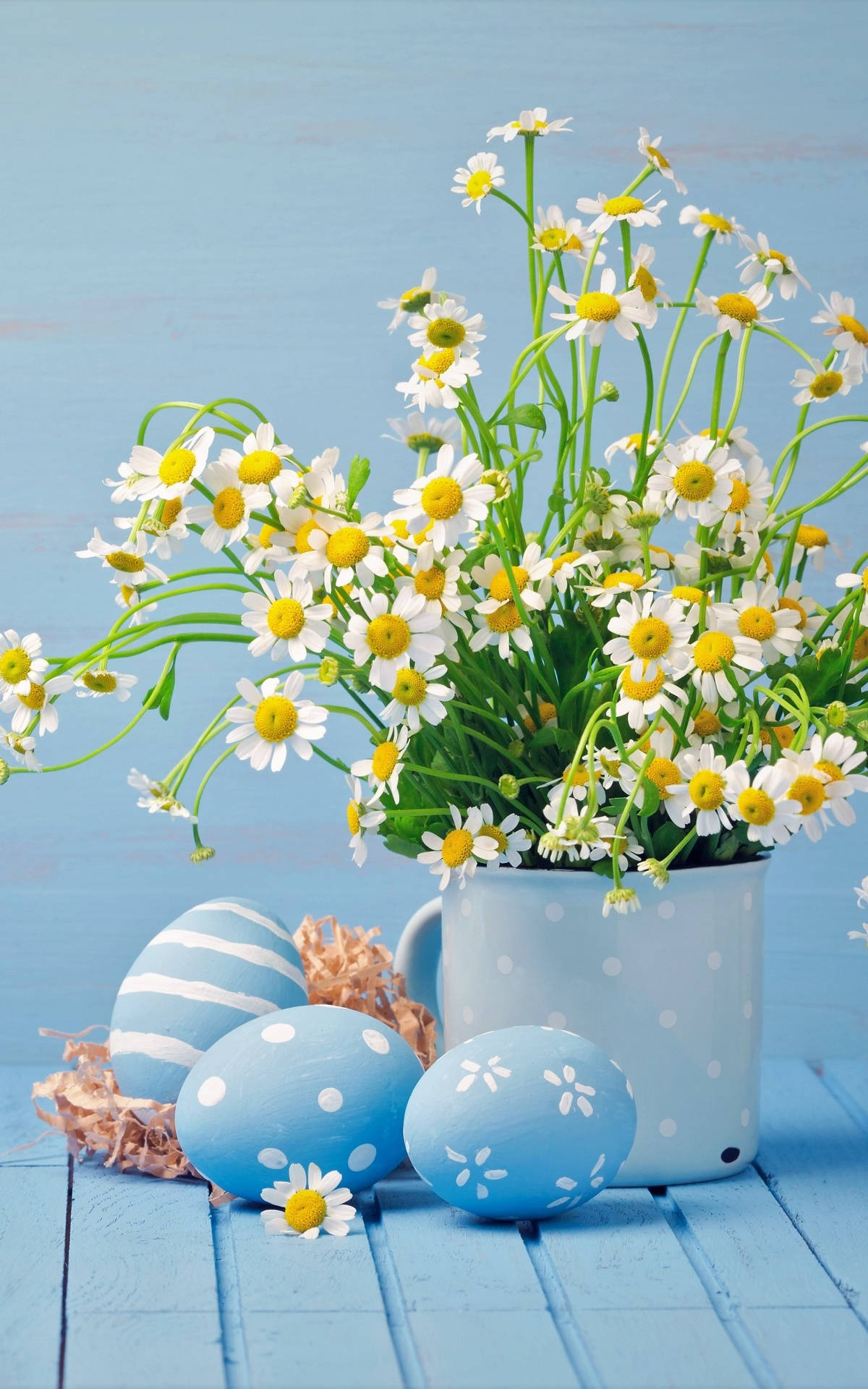 Easter Phone 桌布 壁紙 — 一個愉快的春天雛菊插花，放在一個圓點馬克杯中，旁邊是彩繪藍色雞蛋，置於風化的藍色木質表面上。