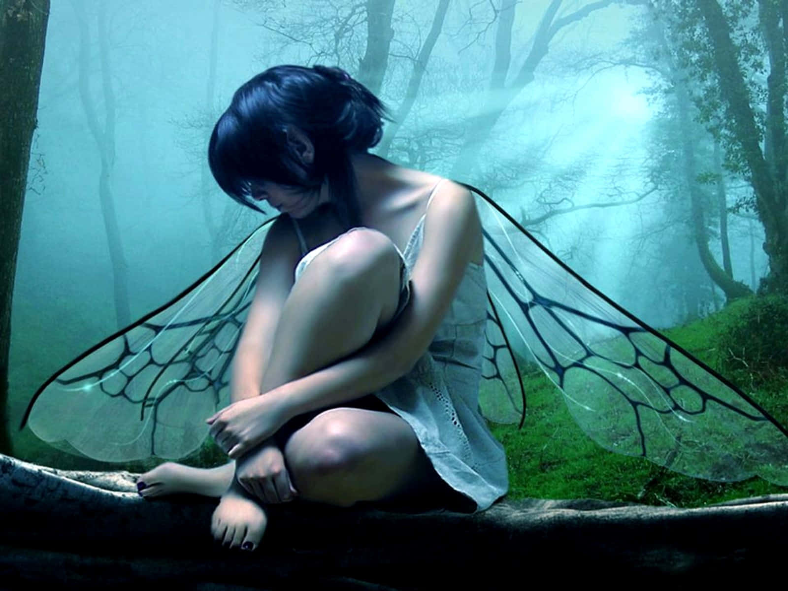 Evil Fairy 桌布 壁紙 — 一個憂鬱的仙子，有半透明的翅膀，蜷縮在霧氣瀰漫的藍綠色森林中的一根木頭上。