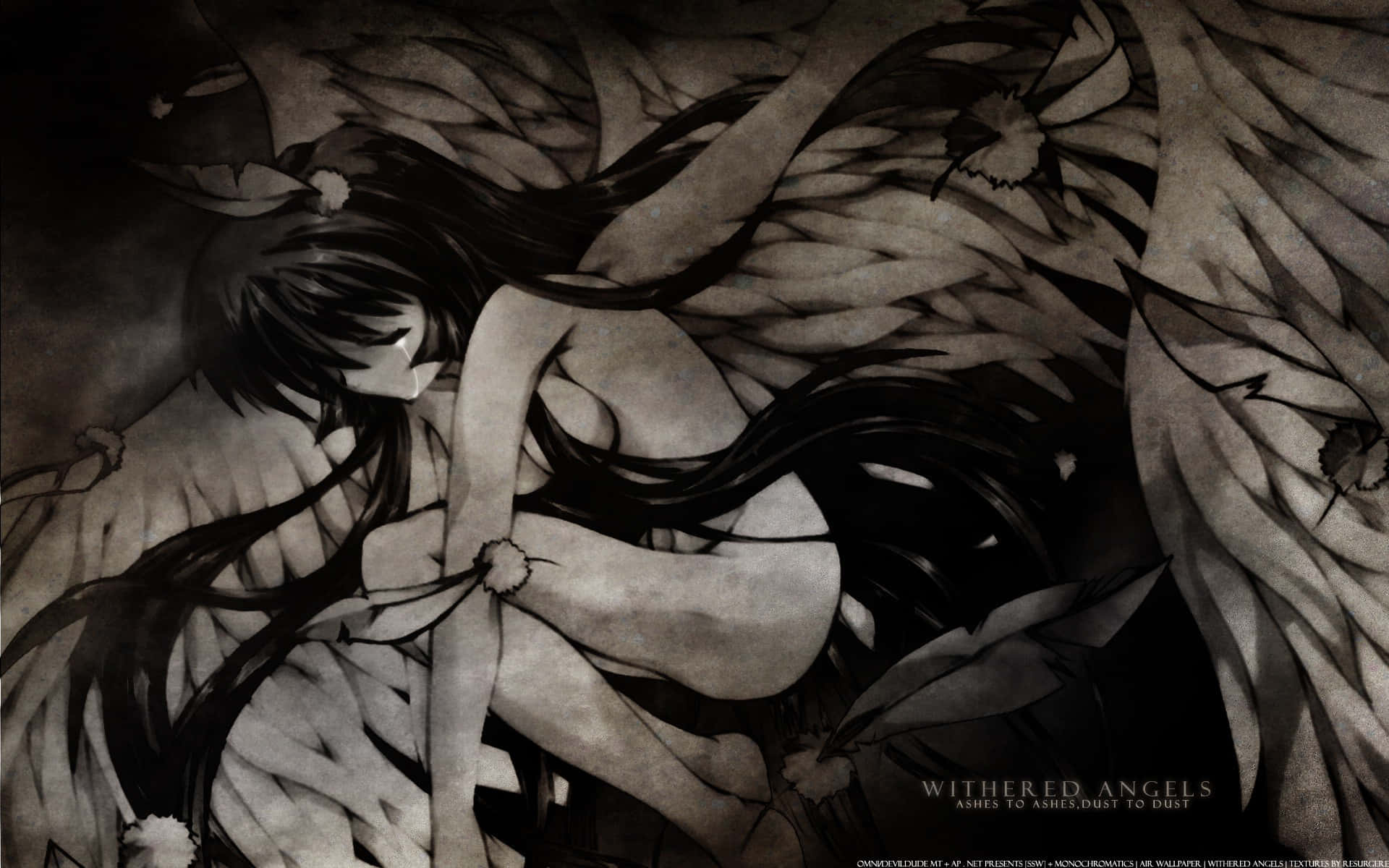 depressed anime 桌布 壁紙 — 一個憂鬱的動漫女孩，長長的黑髮和羽毛翅膀，蜷縮在單色調中，周圍是腐爛的植物。