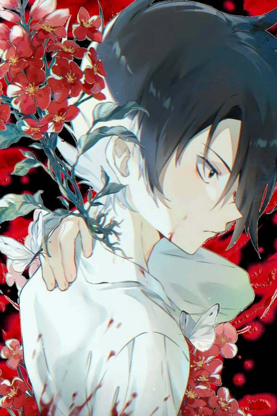 The Promised Neverland Ray 桌布 壁紙 — 一個憂鬱的動漫男孩，黑髮，手持一枝紅花，背景是血紅色，有白色蝴蝶。