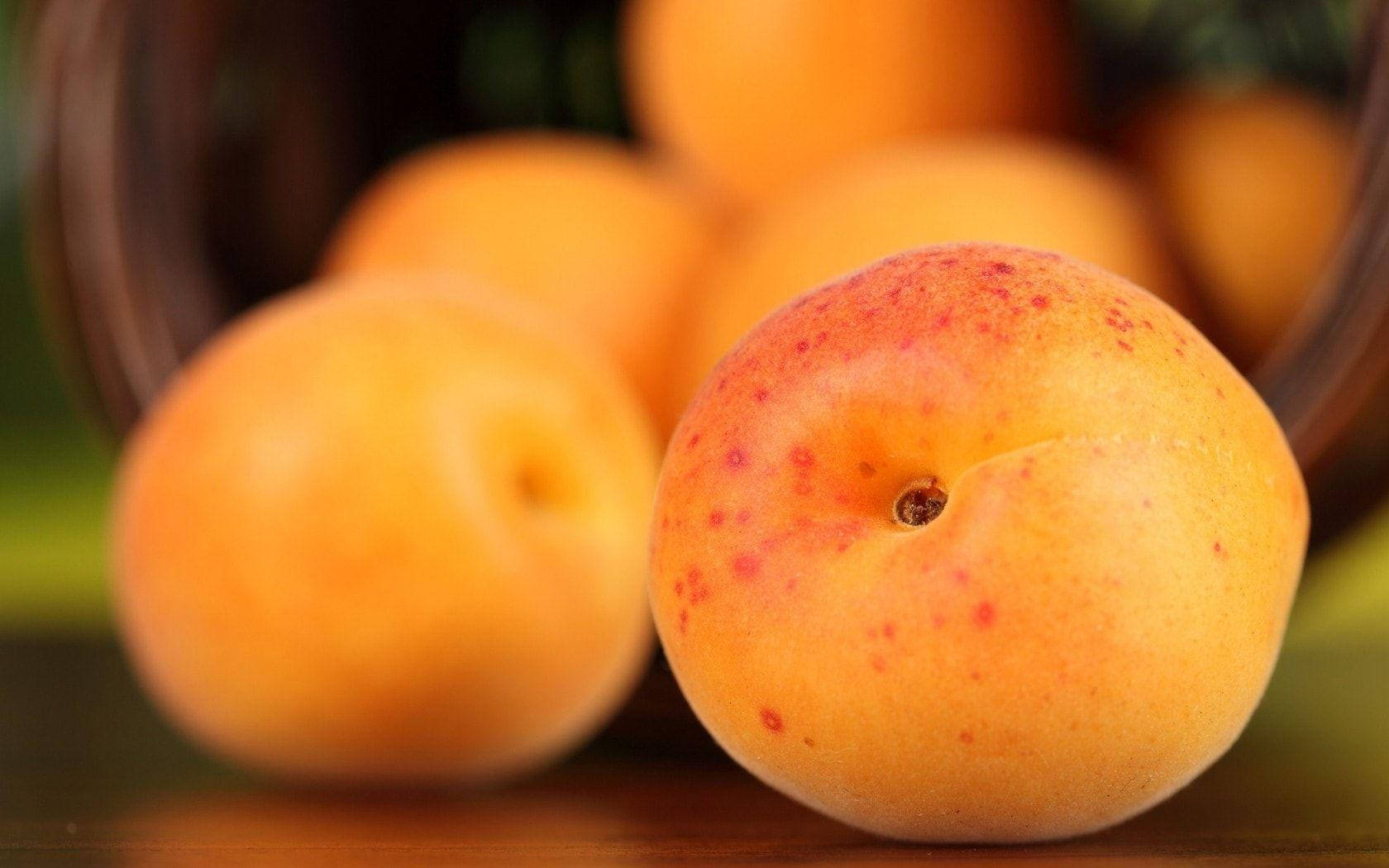 Fruit 桌布 壁紙 — 一個成熟帶有紅色斑點的杏的特寫鏡頭，在木碗中模糊的杏旁邊保持清晰。