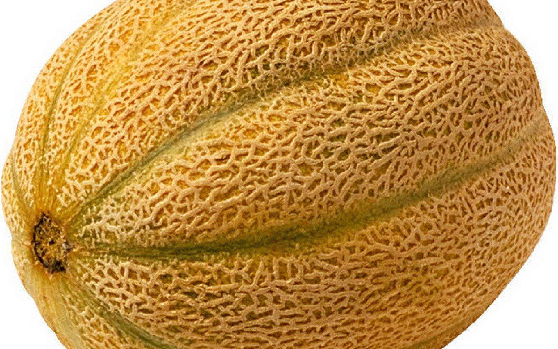 Fruits 桌布 壁紙 — 一個成熟的哈密瓜特寫，帶有紋理的黃褐色外皮和綠色條紋，背景為白色。