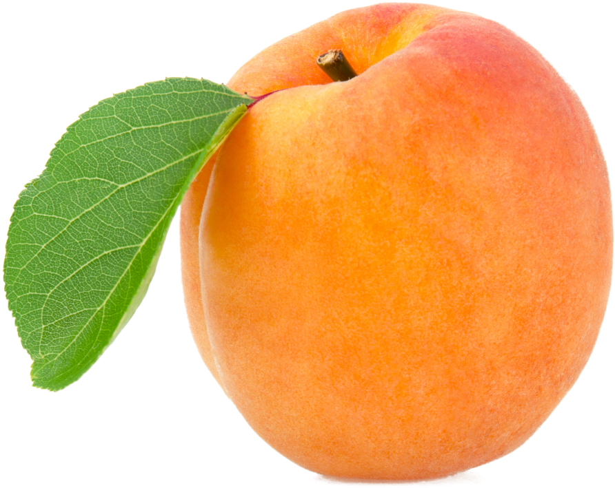 Apricot 桌布 壁紙 — 一個成熟的杏子，附有綠色葉子，背景透明。