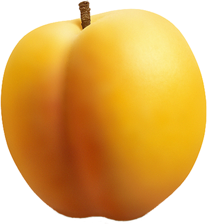 Apricot 桌布 壁紙 — 一個成熟的杏桃，表面光滑呈金黃色，帶有短小的棕色莖，置於透明背景上。