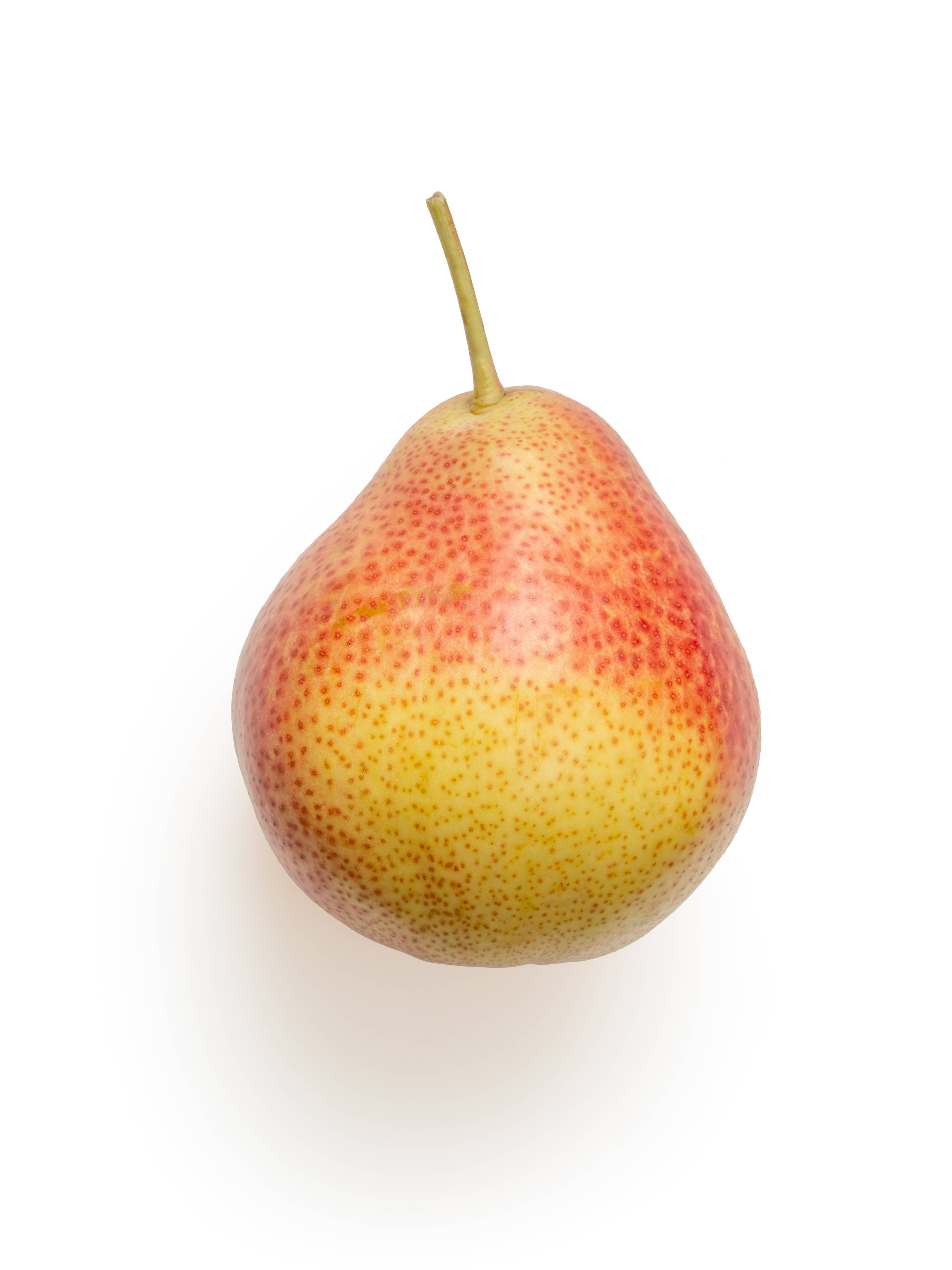 Fruit 桌布 壁紙 — 一個成熟的梨，帶有紅色和黃色斑點的皮和短莖，居中放置在純白色背景上。
