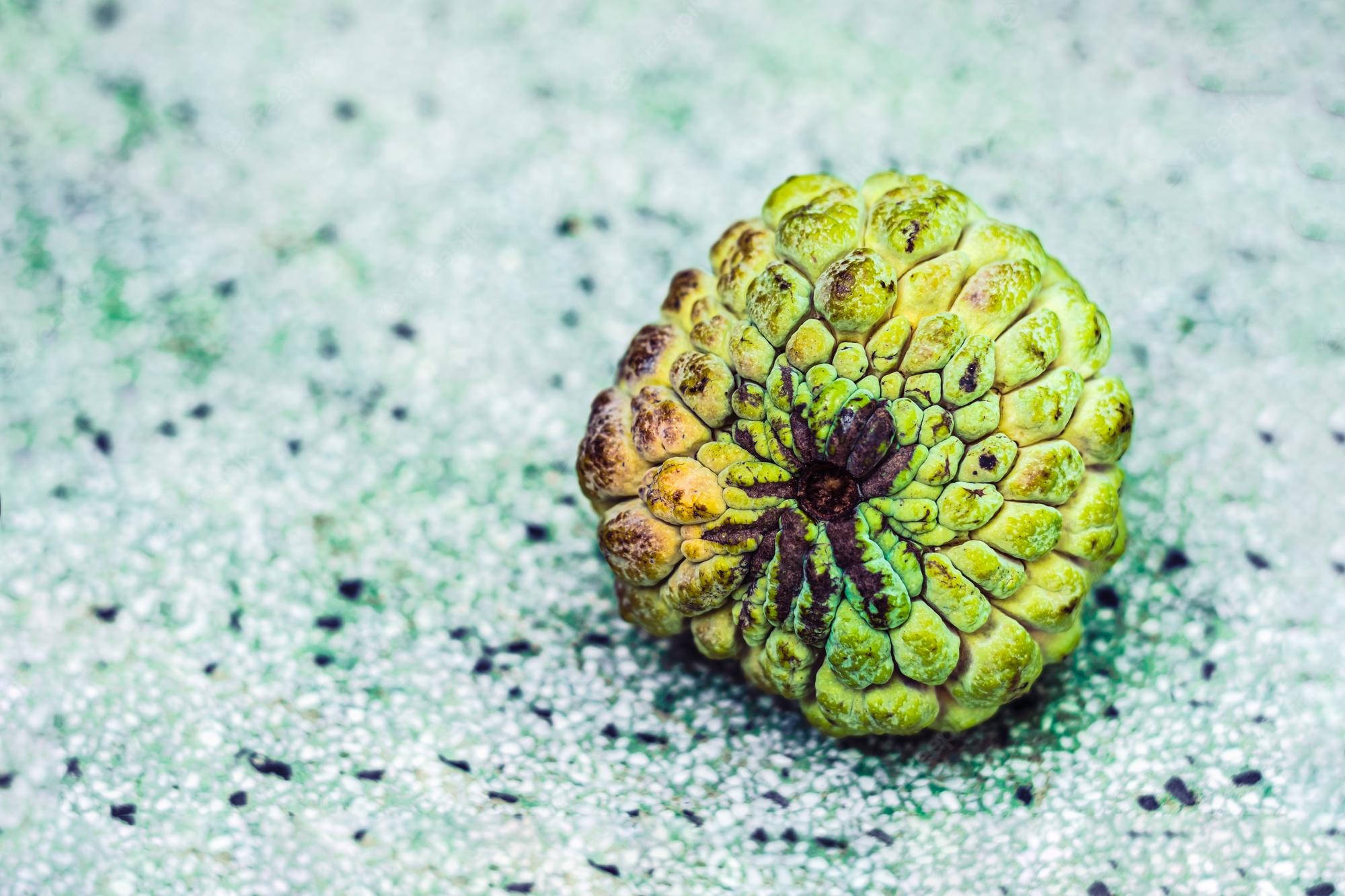 Fruit 桌布 壁紙 — 一個成熟的牛心番荔枝，帶有紋理的綠色外皮，放在一個有斑點的淺綠色表面上。