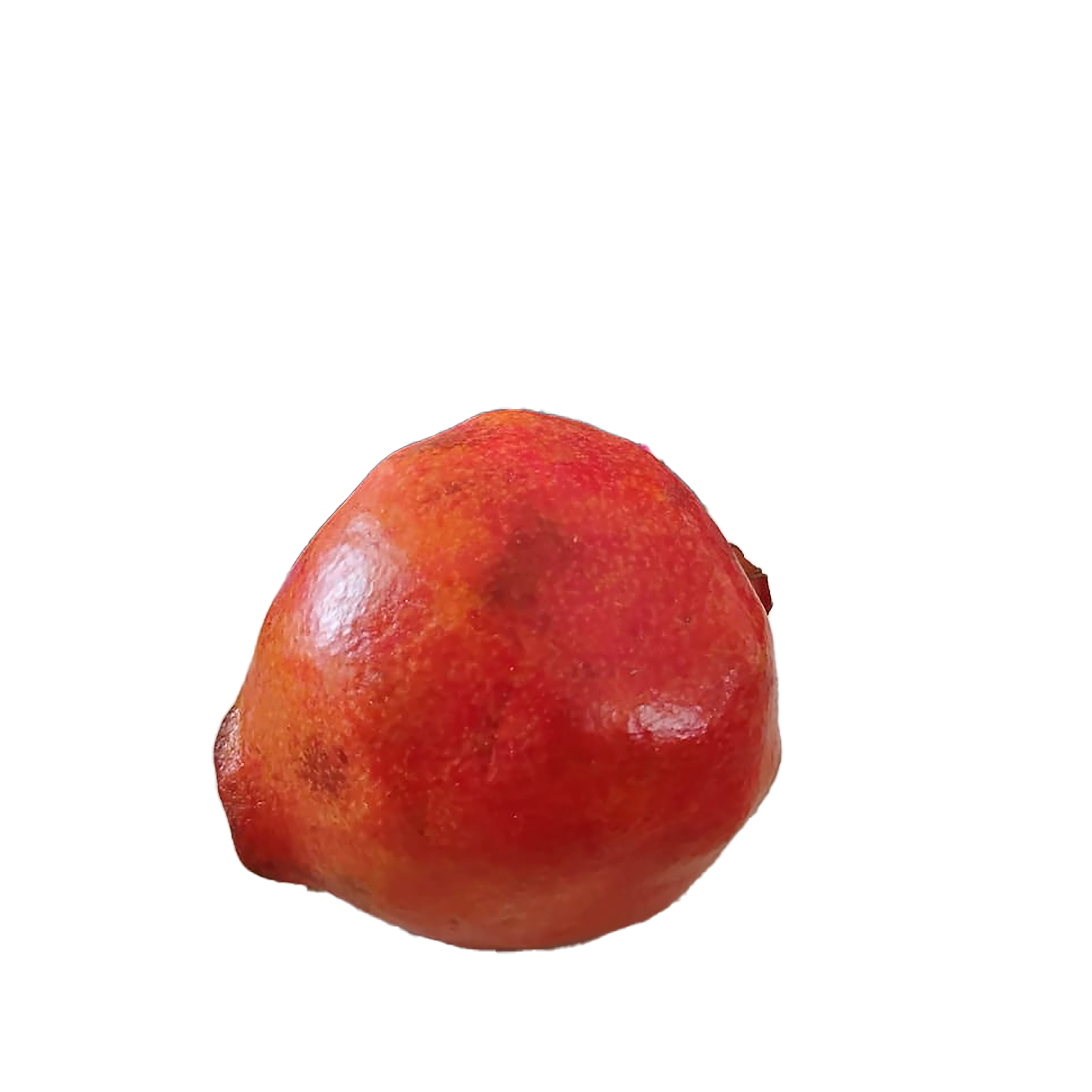 Pomegranate 桌布 壁紙 — 一個成熟的紅石榴，表皮光滑有光澤，帶有細微瑕疵，放在模糊的深色木框背景前。
