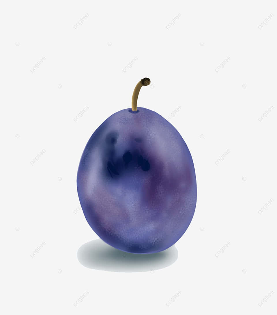 Fruits 桌布 壁紙 — 一個成熟的紫色李子，帶有短莖，居中放置在純白色背景上。