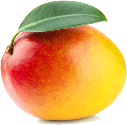 Fruits 桌布 壁紙 — 一個成熟的芒果，帶有紅黃漸層的果皮和一片綠葉，背景透明。