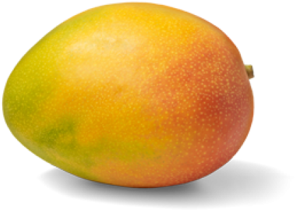 Mango 桌布 壁紙 — 一個成熟的芒果，帶有黃橙色和綠色底色，襯托在純黑色背景上。